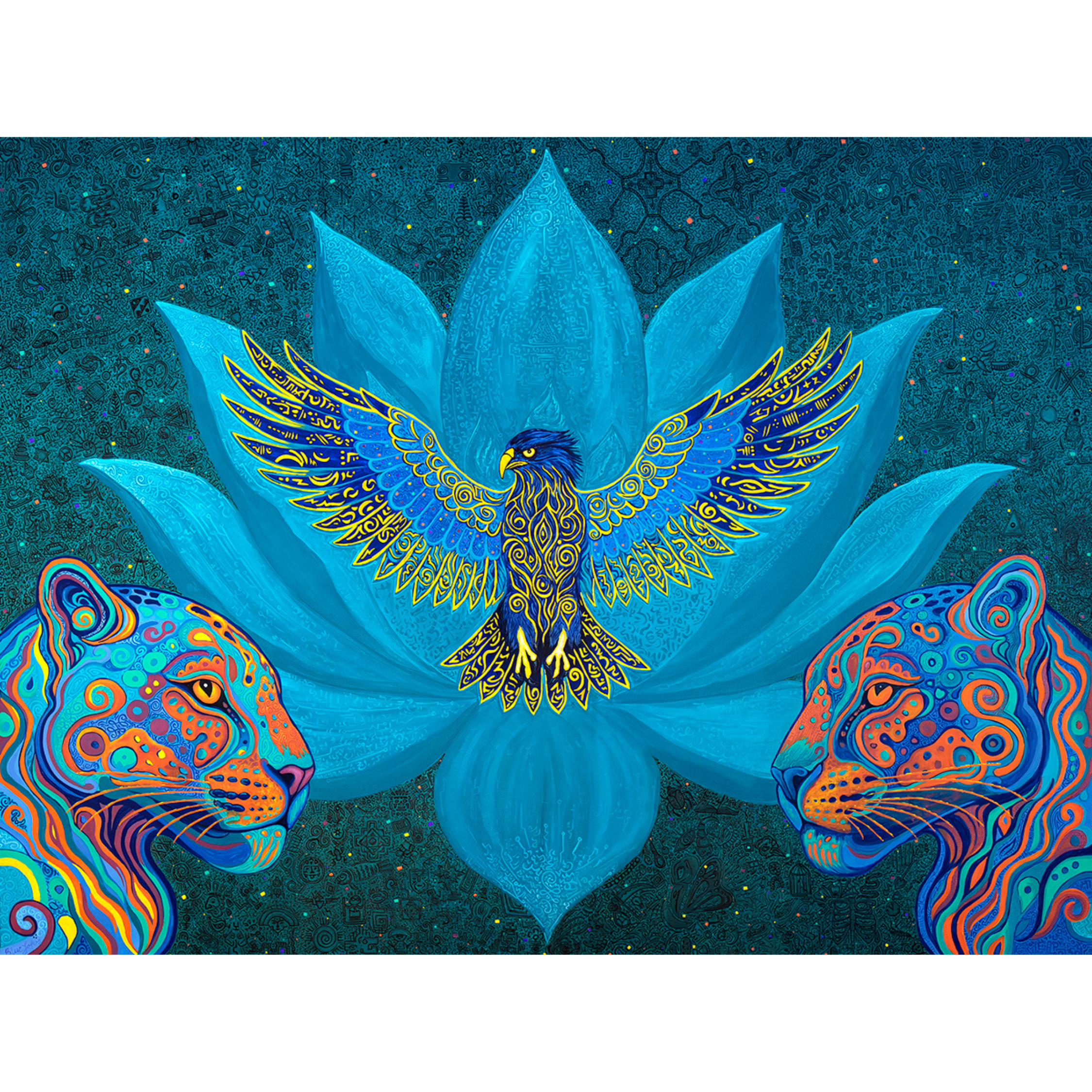IMG_5353.PNG