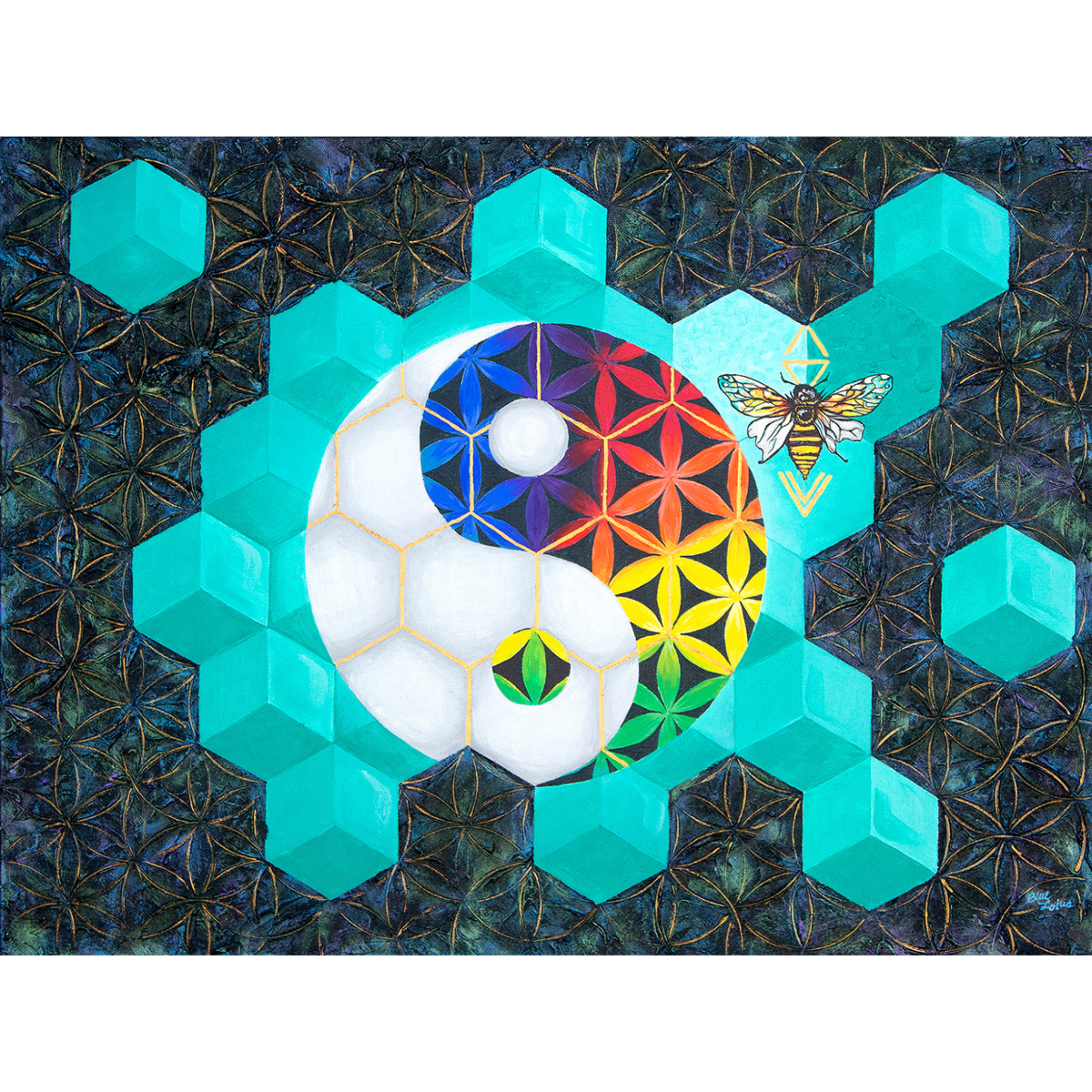 IMG_5352.PNG (Copy)
