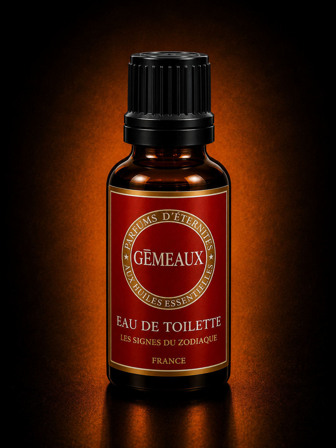Gemeaux.PNG