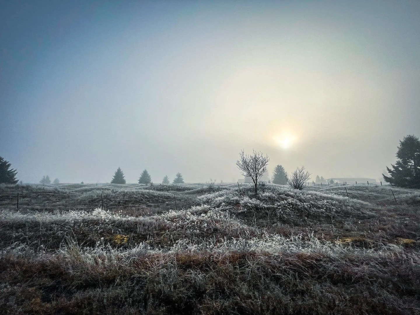 0C9924FF-277F-4524-BAAD-6A671746B75B.jpg