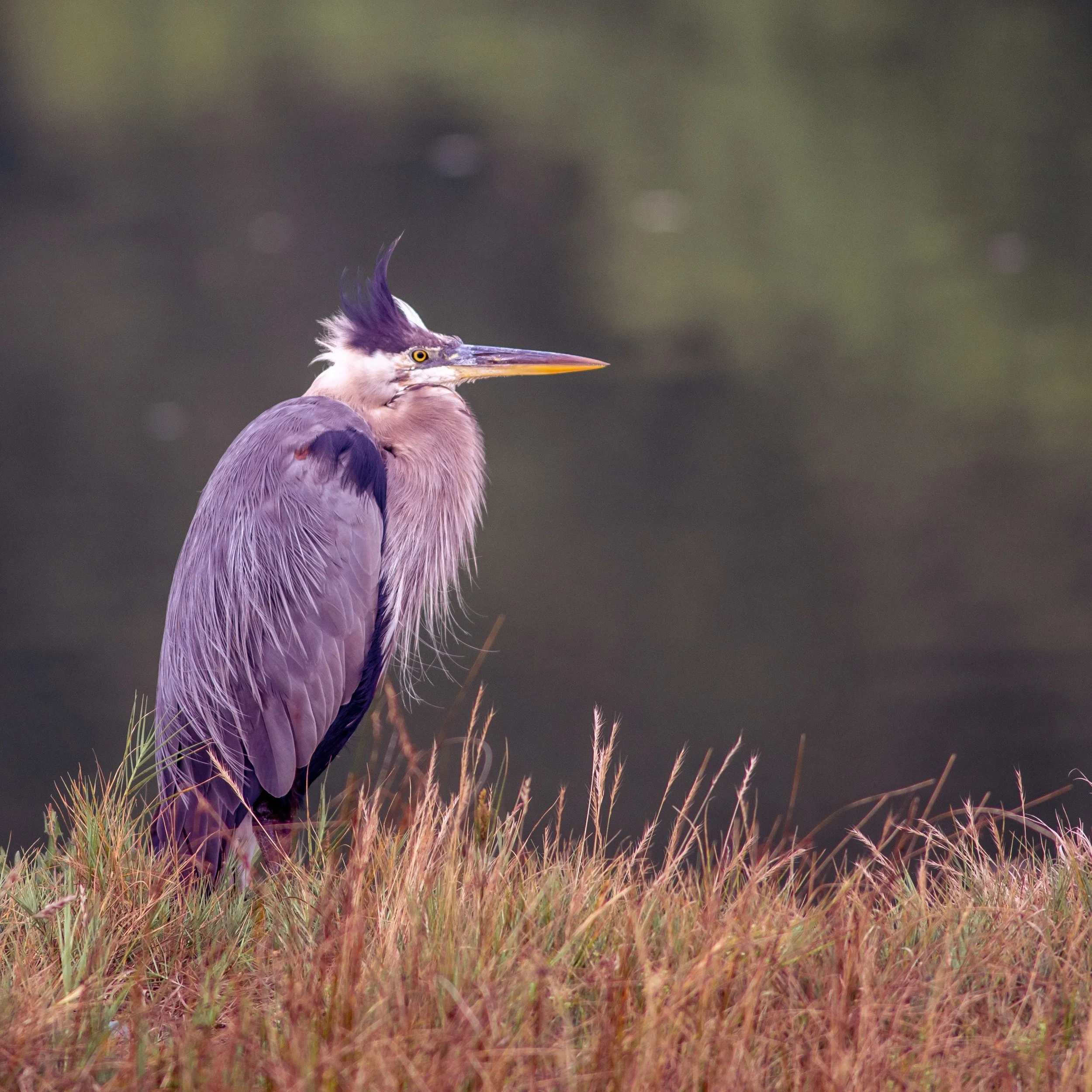 DSC_5645.jpg