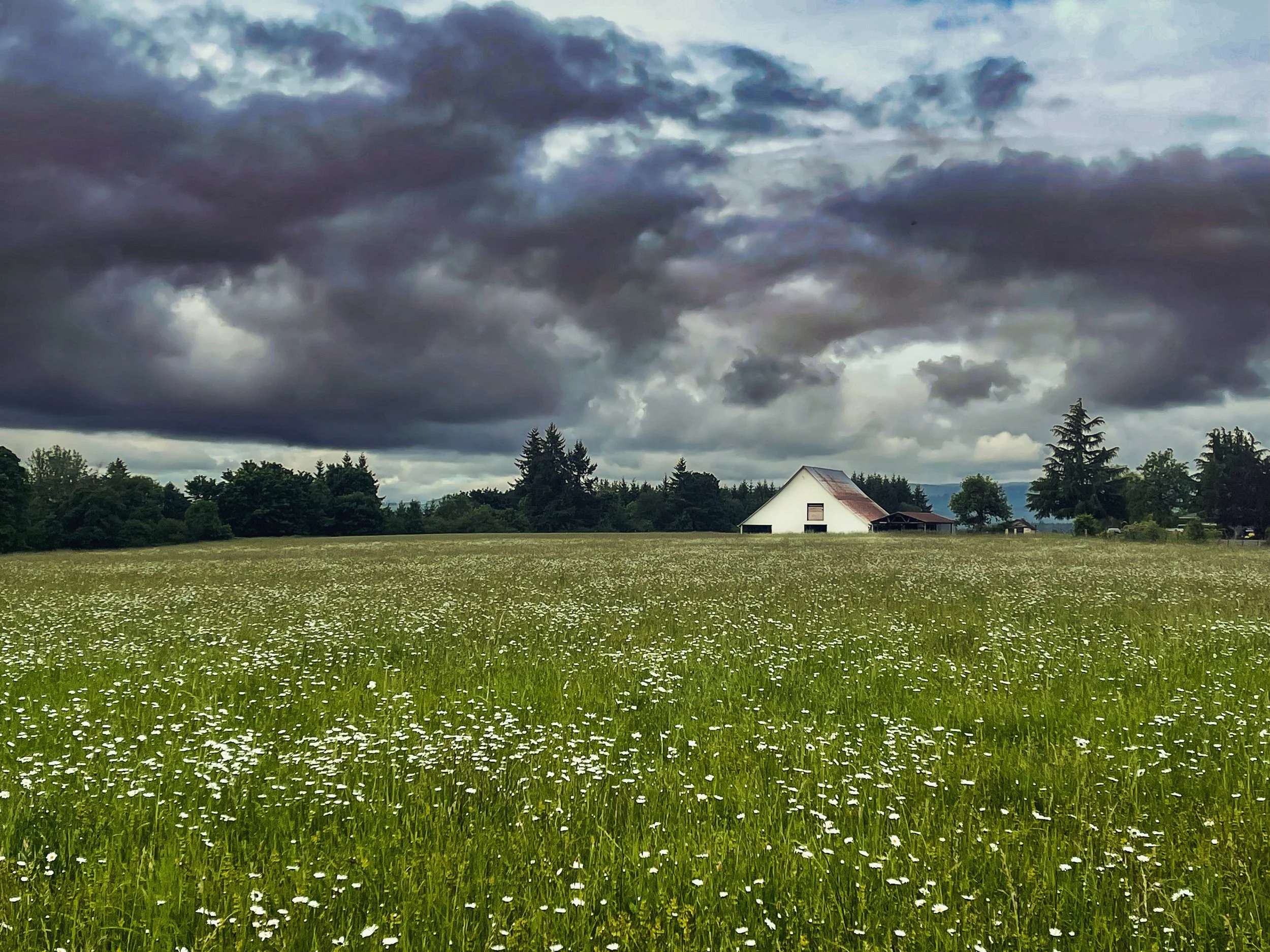 0DB09427-23F1-4983-BCDC-AC08C06DF4F4.jpg