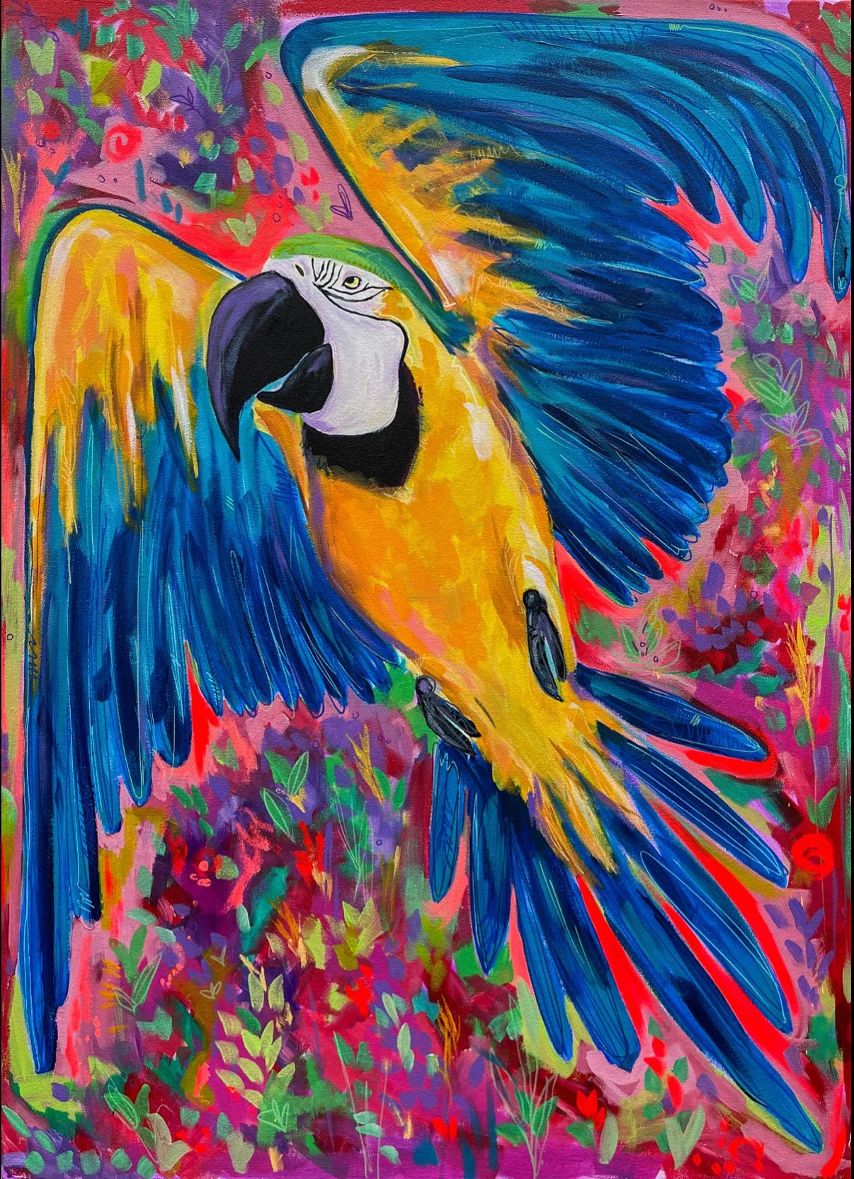 Macaw.jpg