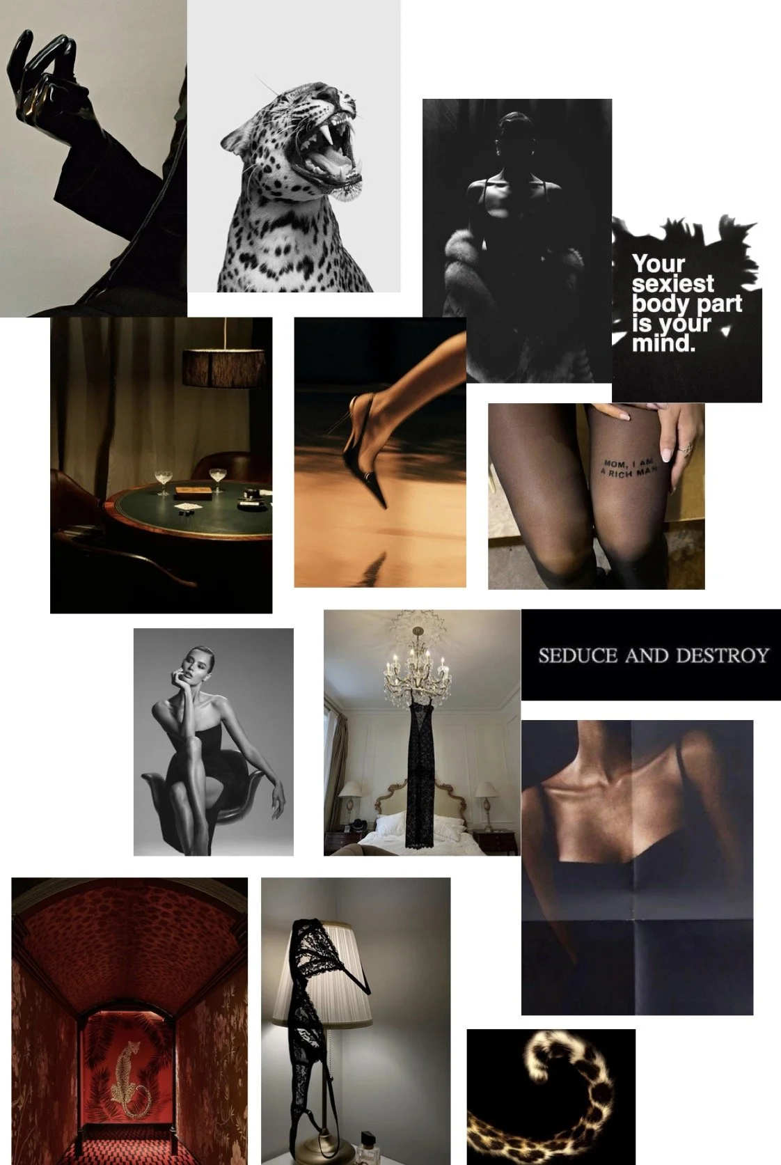 IMG_7931.PNG