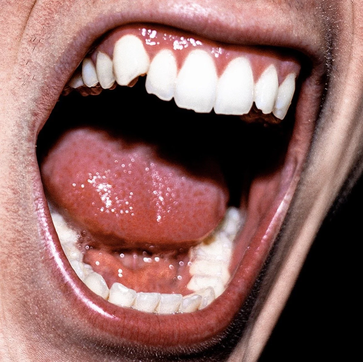 IMG_9901 (1).PNG