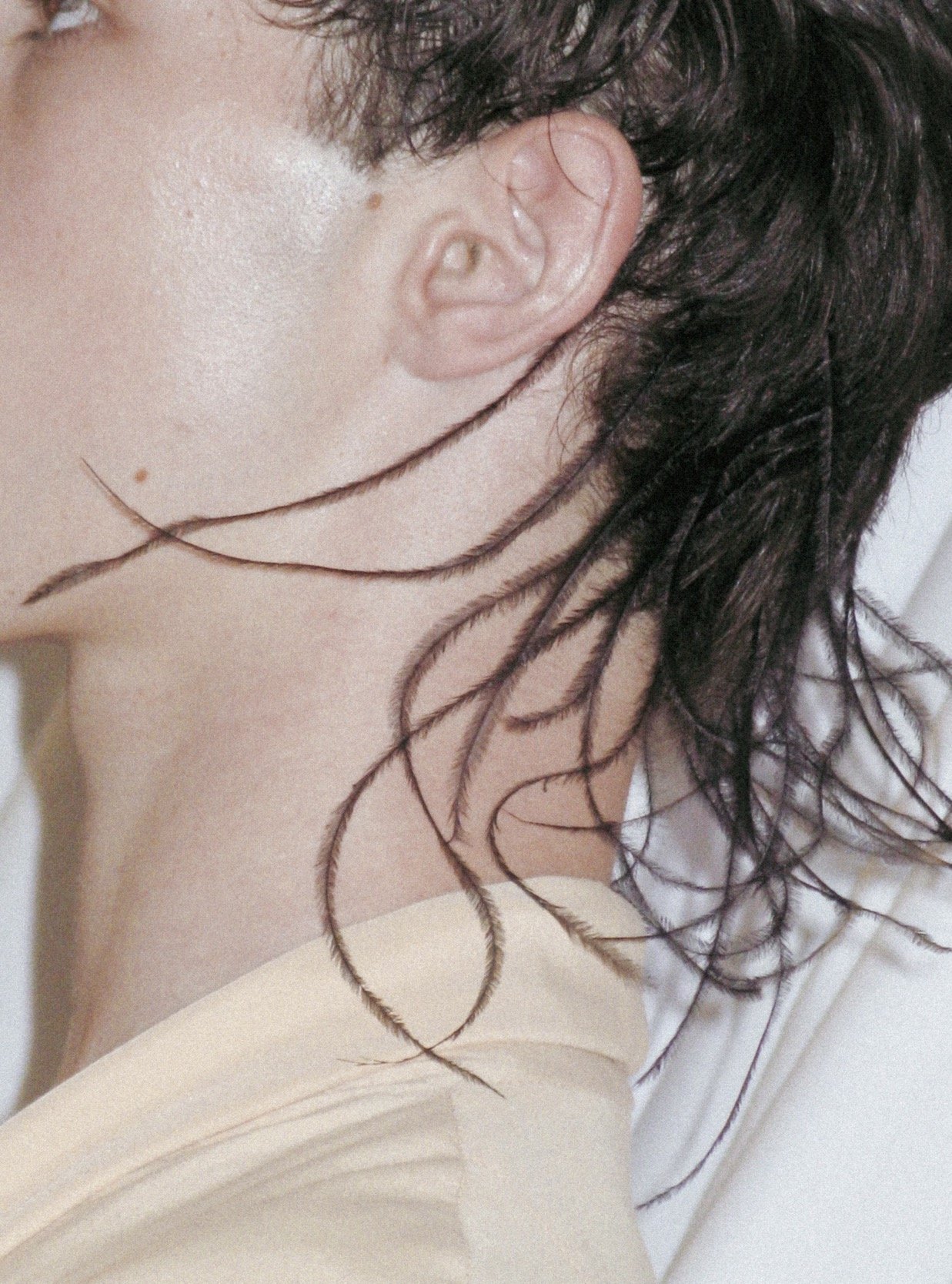 IMG_8405.PNG