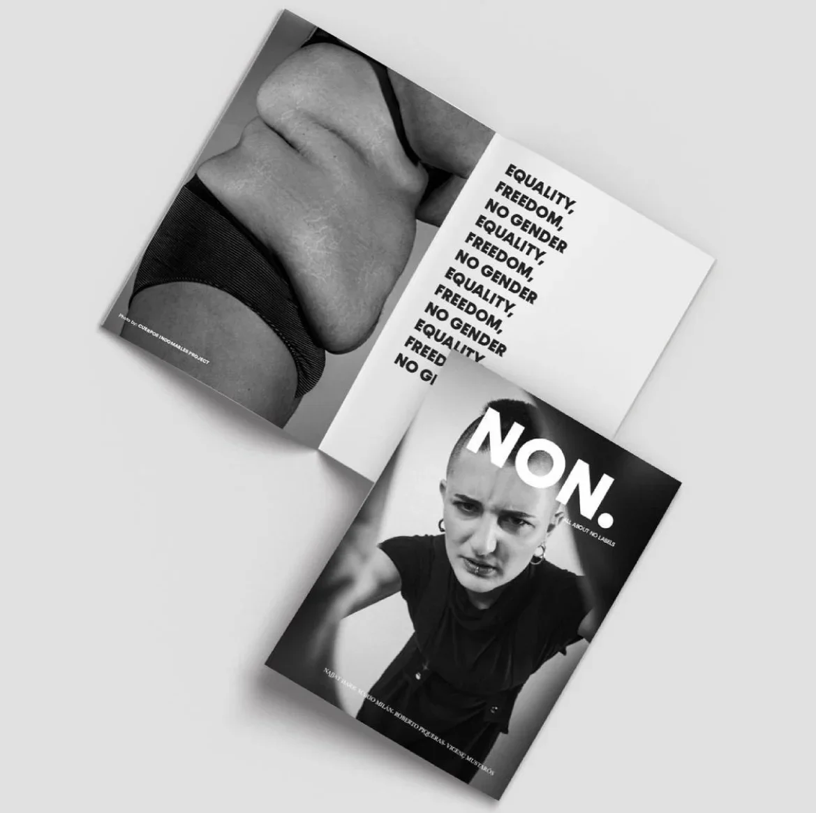 ISSUE 01 - All about no Labels Issue
