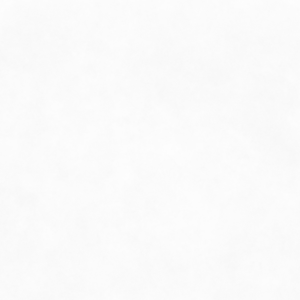 A blank, textured gray background with no distinct objects or features.