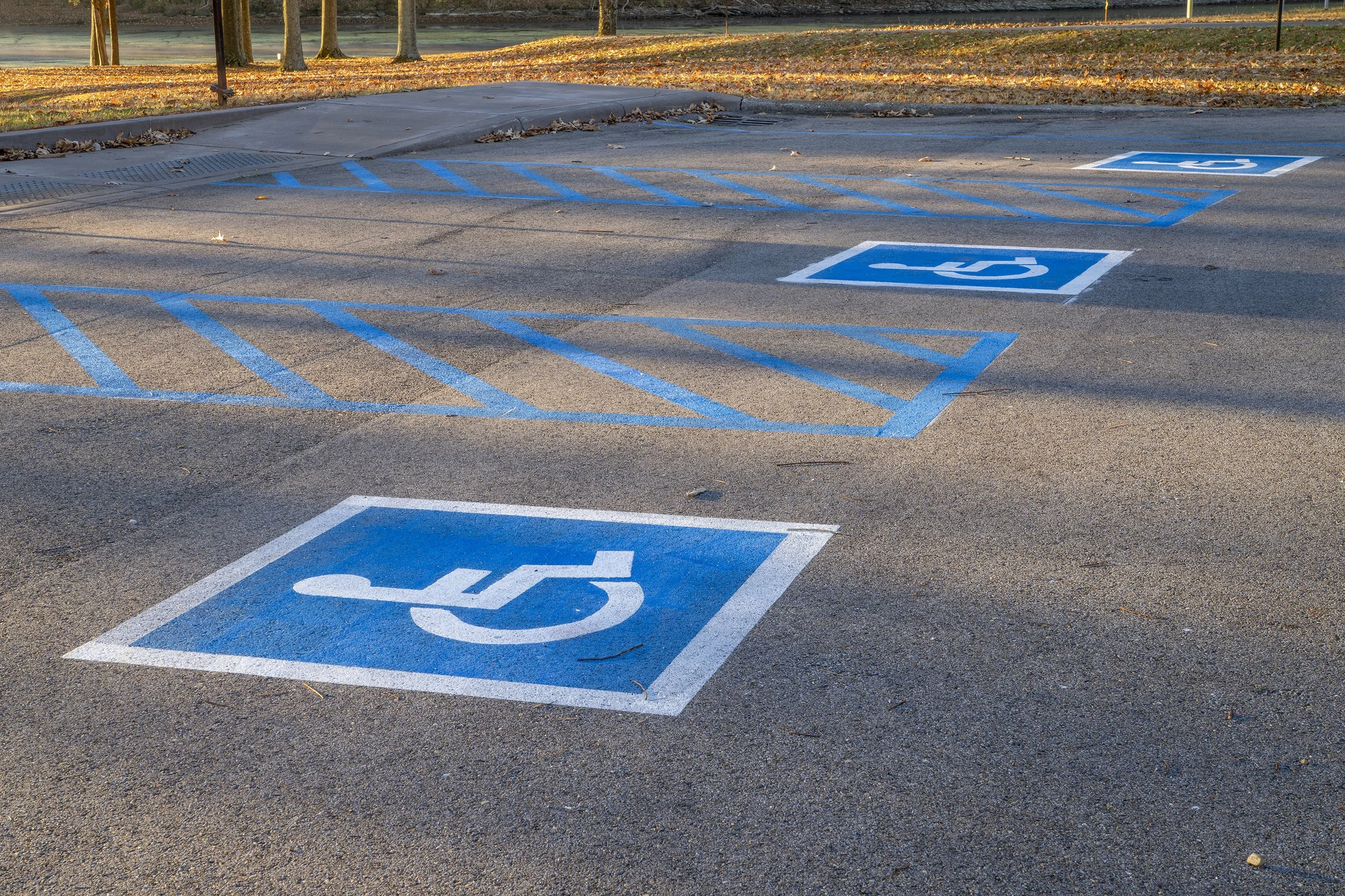 Parked cars in a parking lot marked with blue lines and handicapped symbols, with trees and fallen leaves in the background during daytime.
