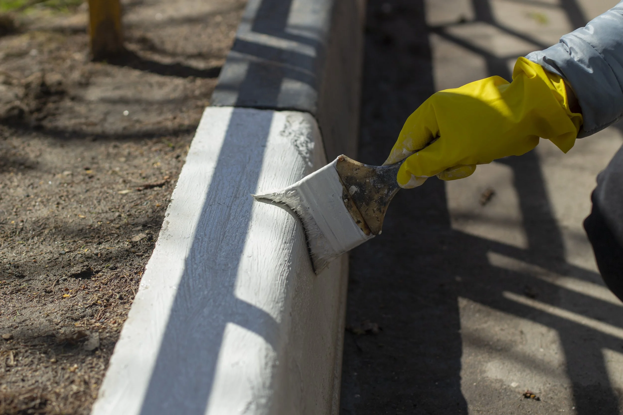 Painting a white concrete curb using a paintbrush to apply paint to the curb.