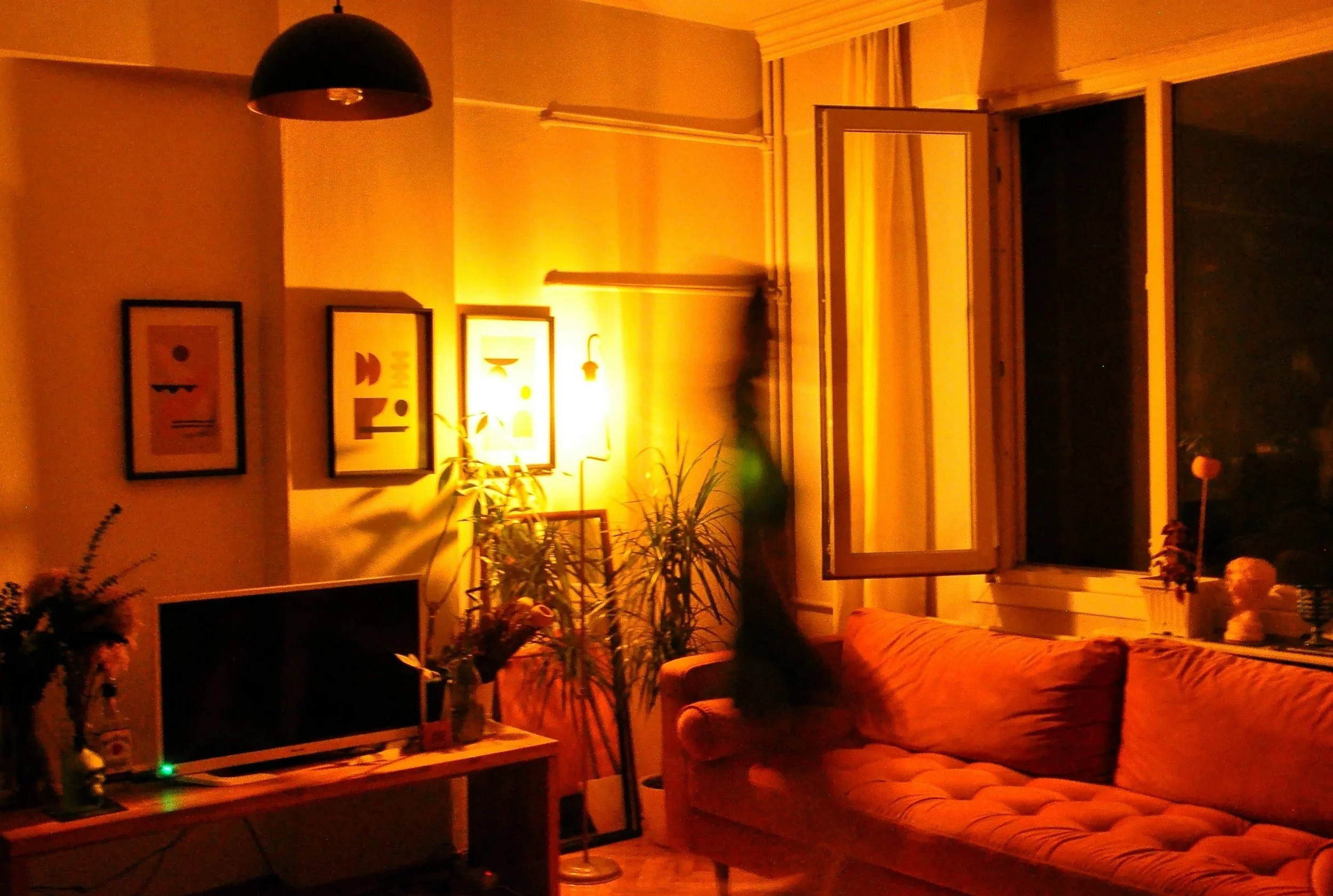 A cozy living room illuminated with warm yellow lighting. There are framed pictures on the wall, a television, a sofa, and various houseplants near a large window that is partially open.