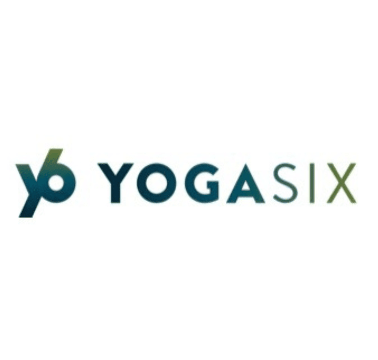 Y6