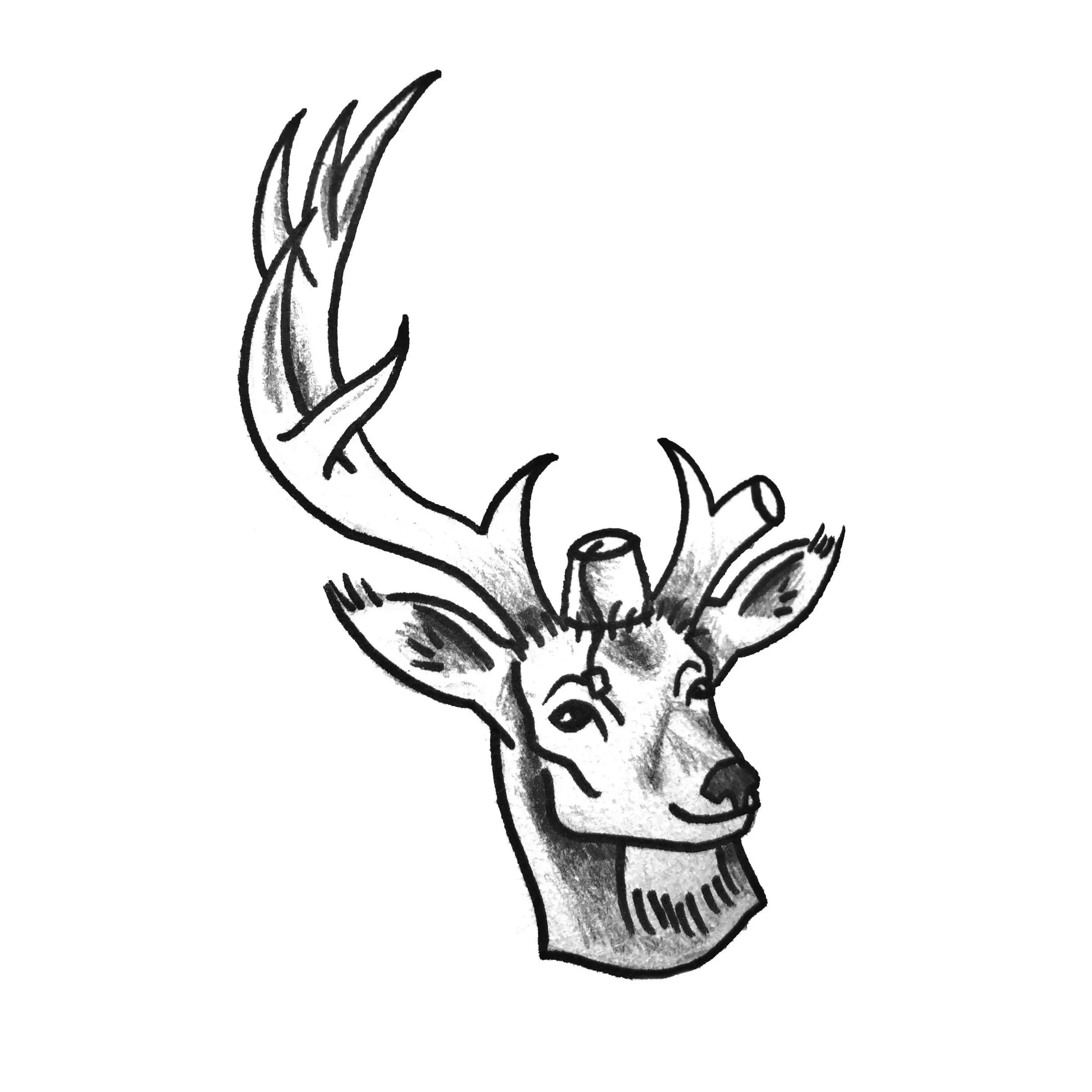 IMG_8508.png