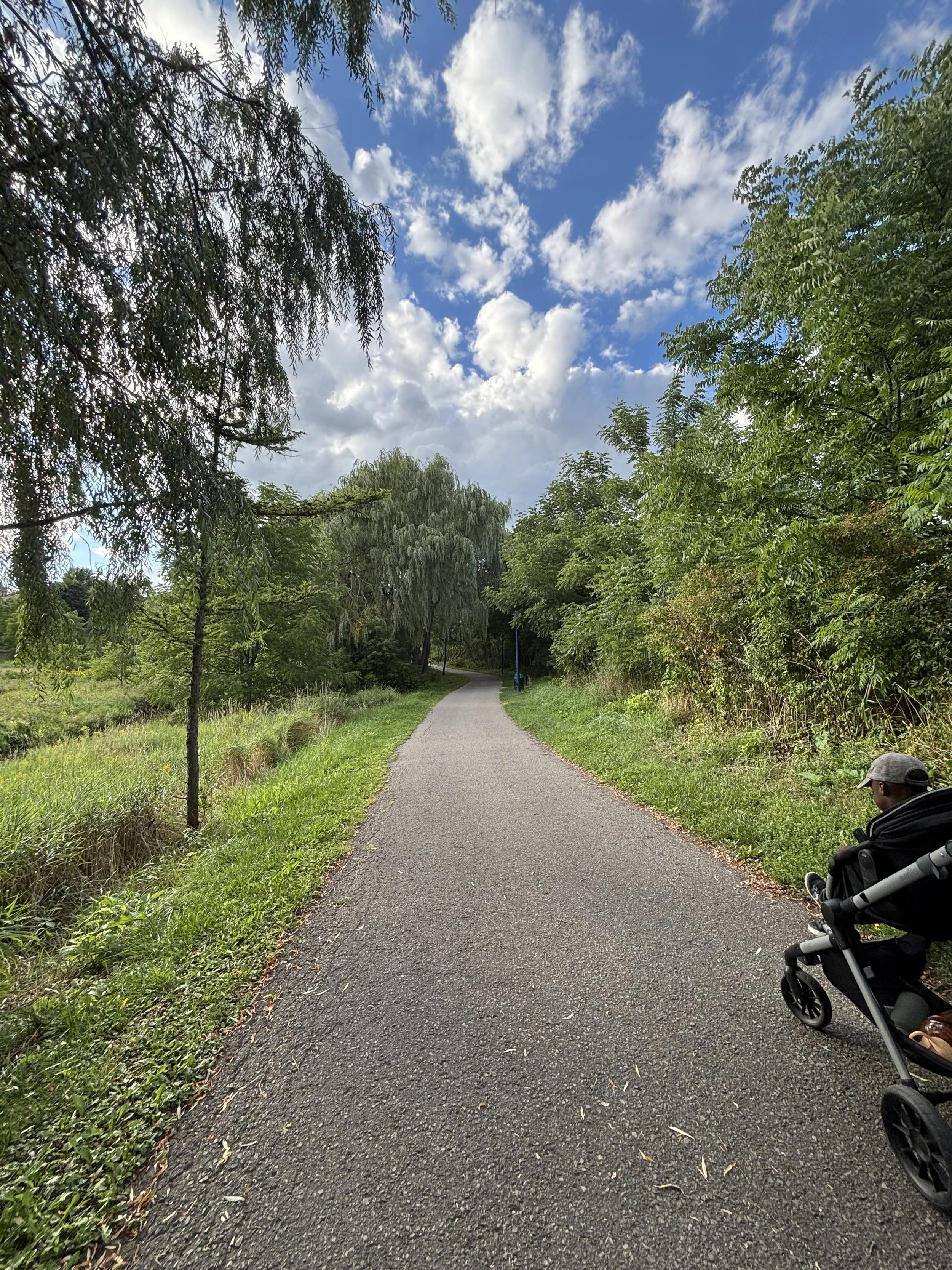 The Ultimate York Region Summer Guide for Families (2026)