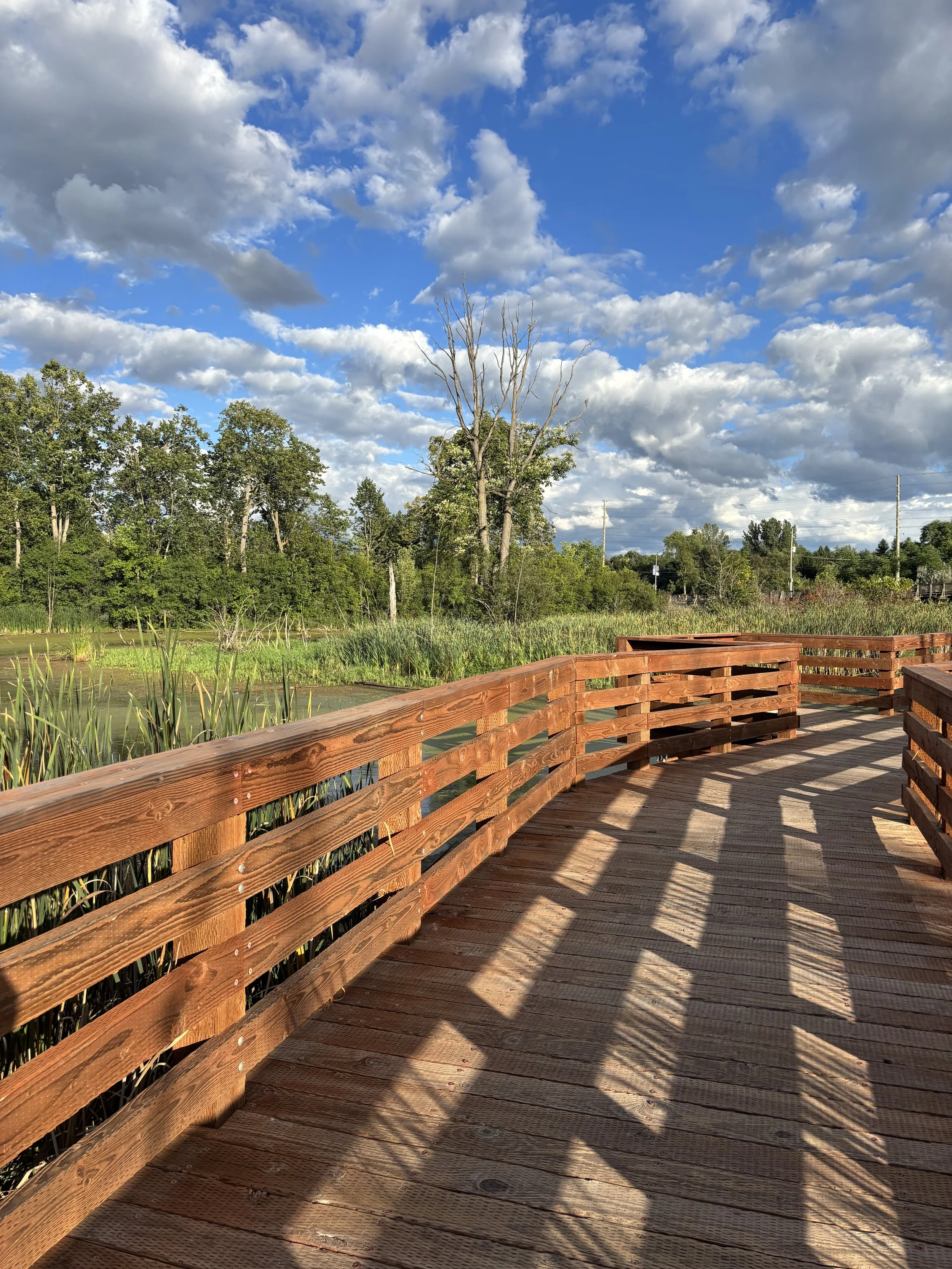 Picture of boardwalk on Nokiidaa Trail