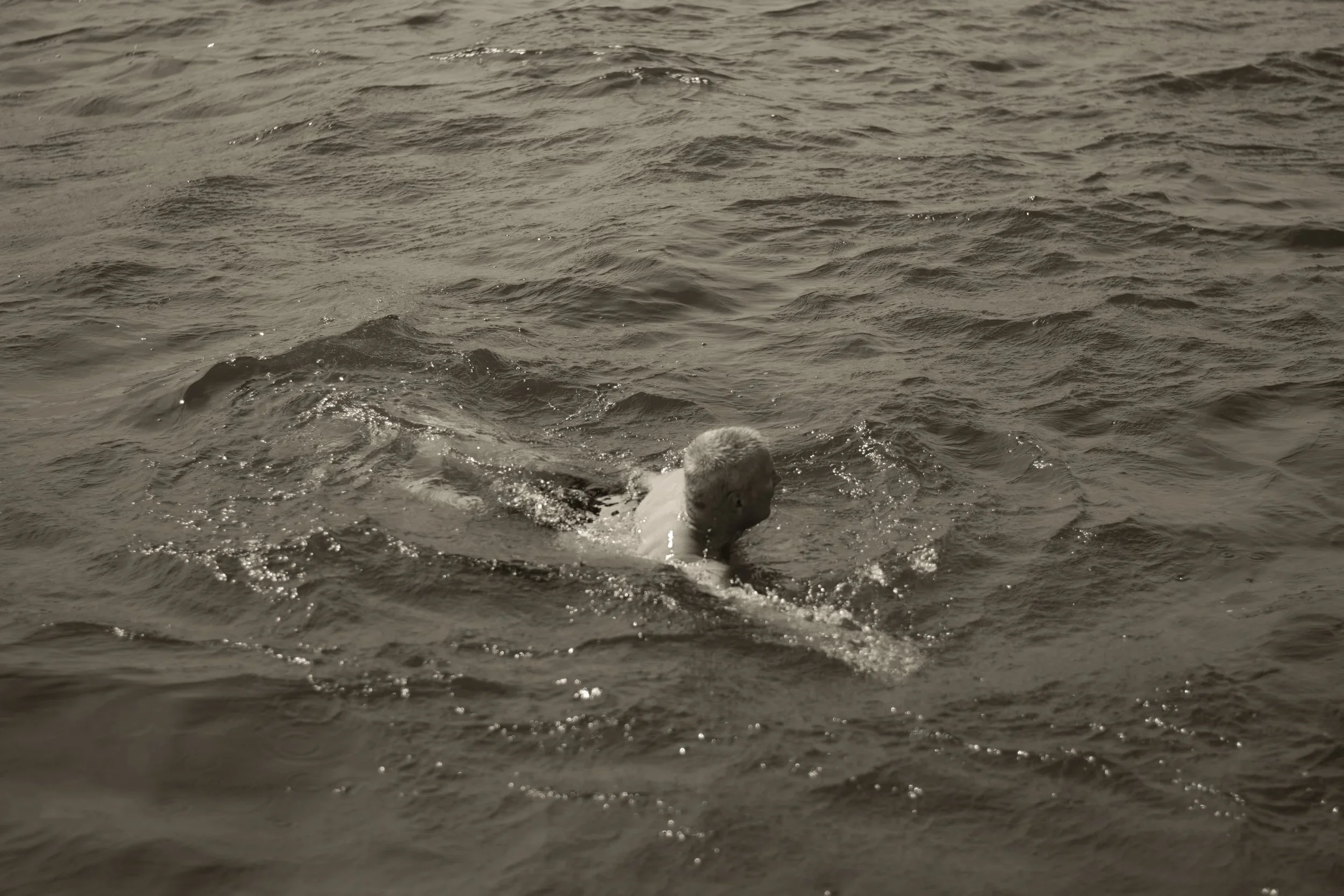 DSC_0332.webp