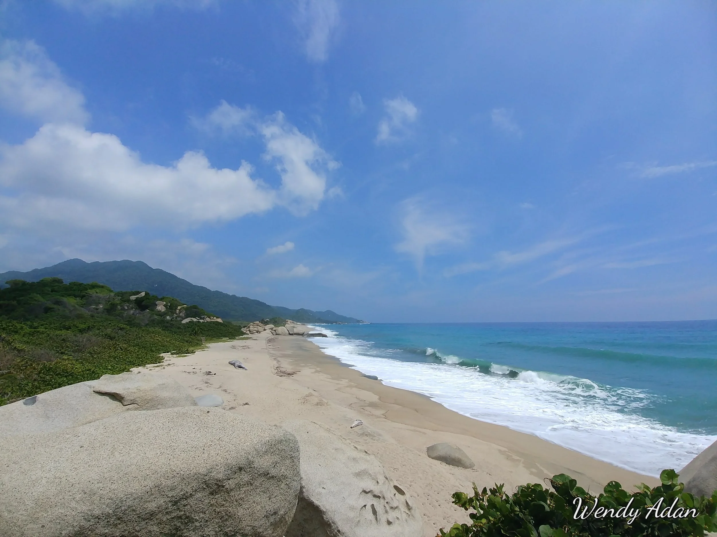 Where the Jungle Meets the Sea: A Solo Journey into Tayrona National Park