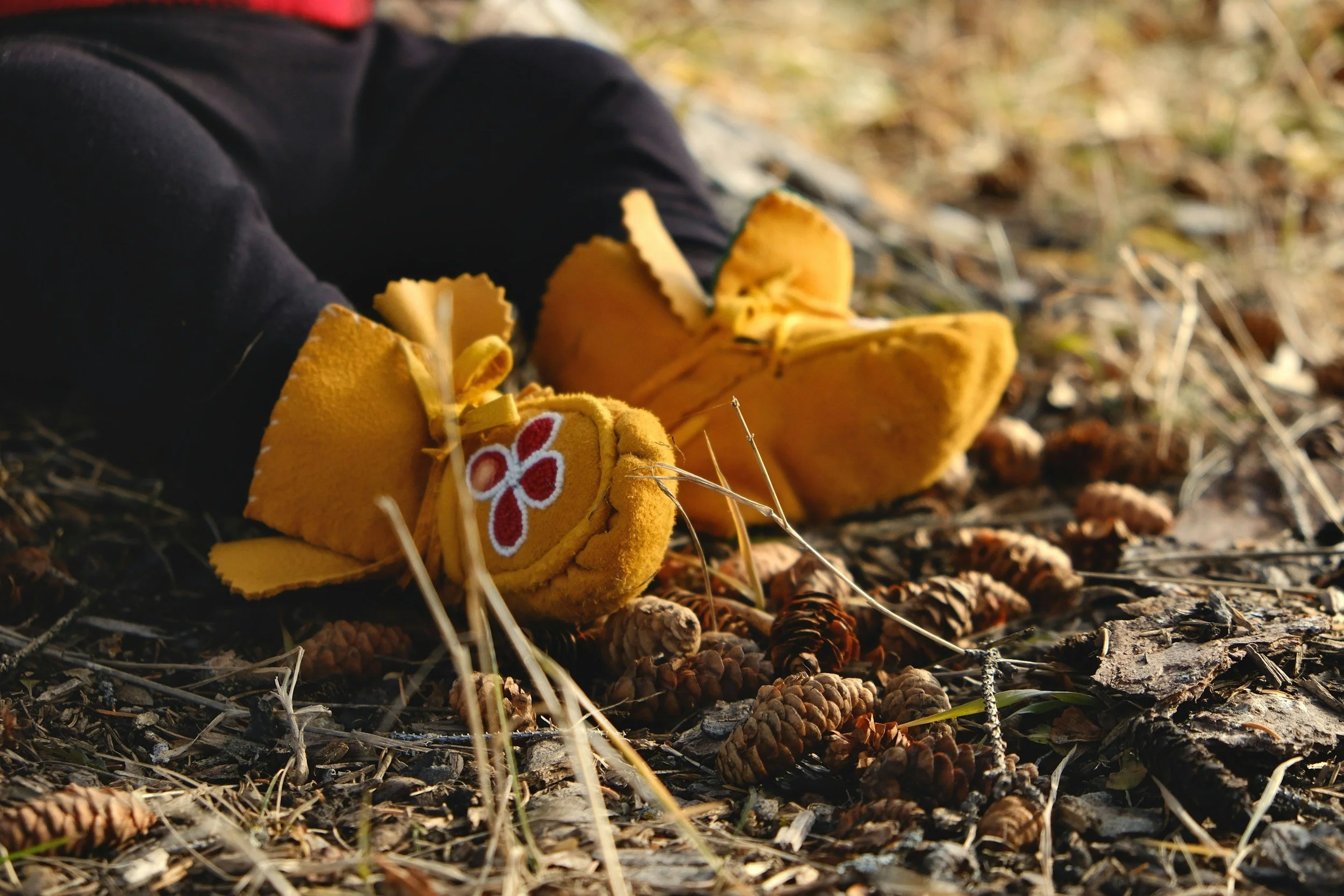 Yellow gloves on the ground outdoors with pinecones and dry grass.