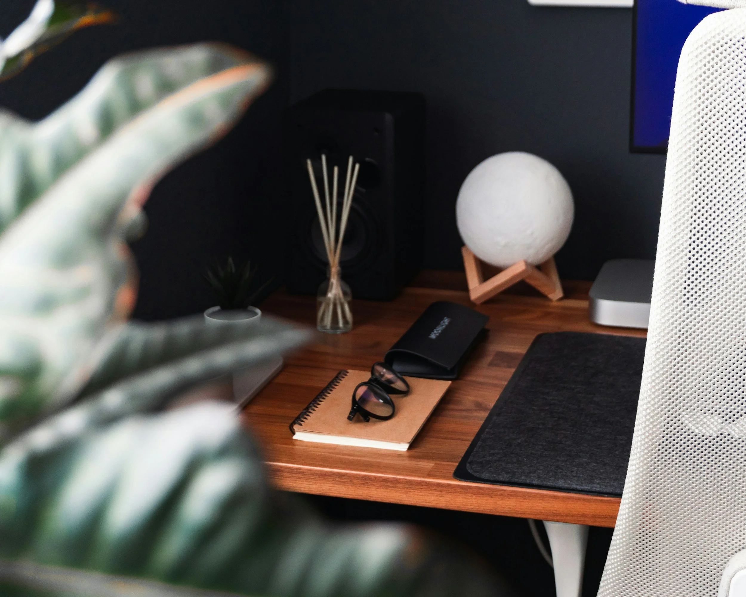 Close-up of a potted succulent plant in the foreground with a desk setup in the background, including a spiral notebook with glasses on top, a diffuser, a spherical lamp, and electronic devices.