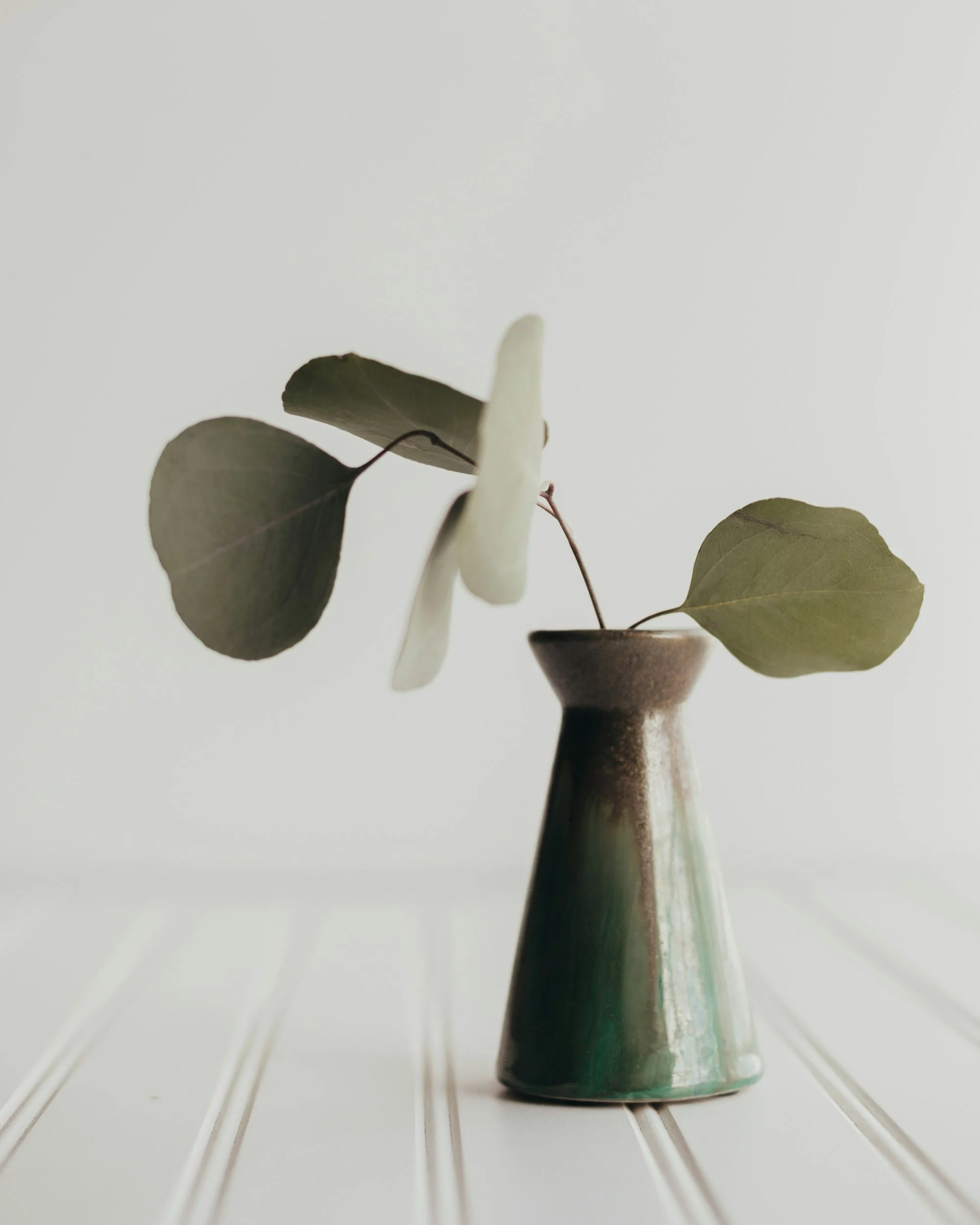A ceramic vase holding a branch with eucalyptus leaves, placed on a white wooden surface against a light background.