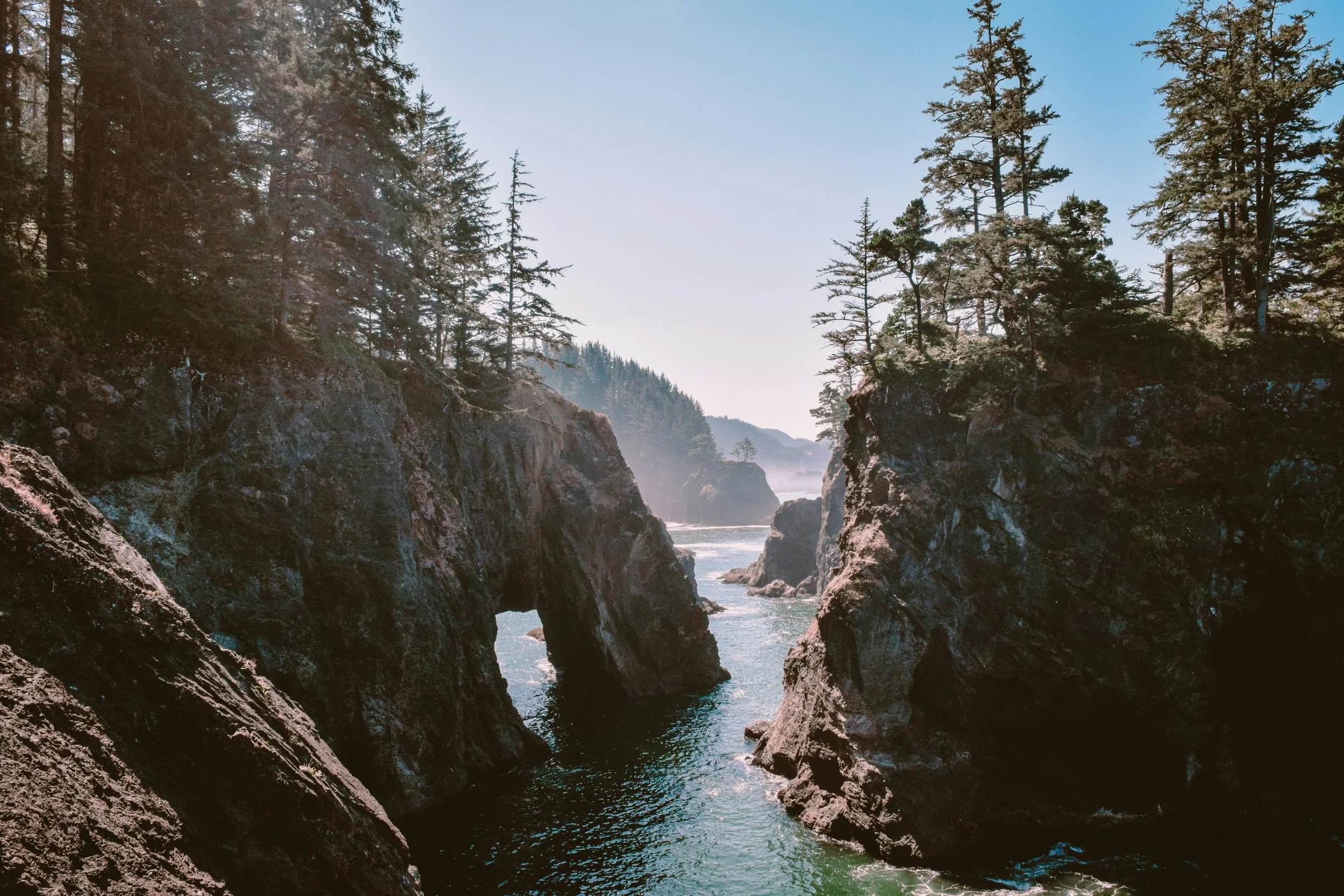 A coastal landscape with rocky cliffs and tall evergreen trees overlooking the ocean, under a clear blue sky.