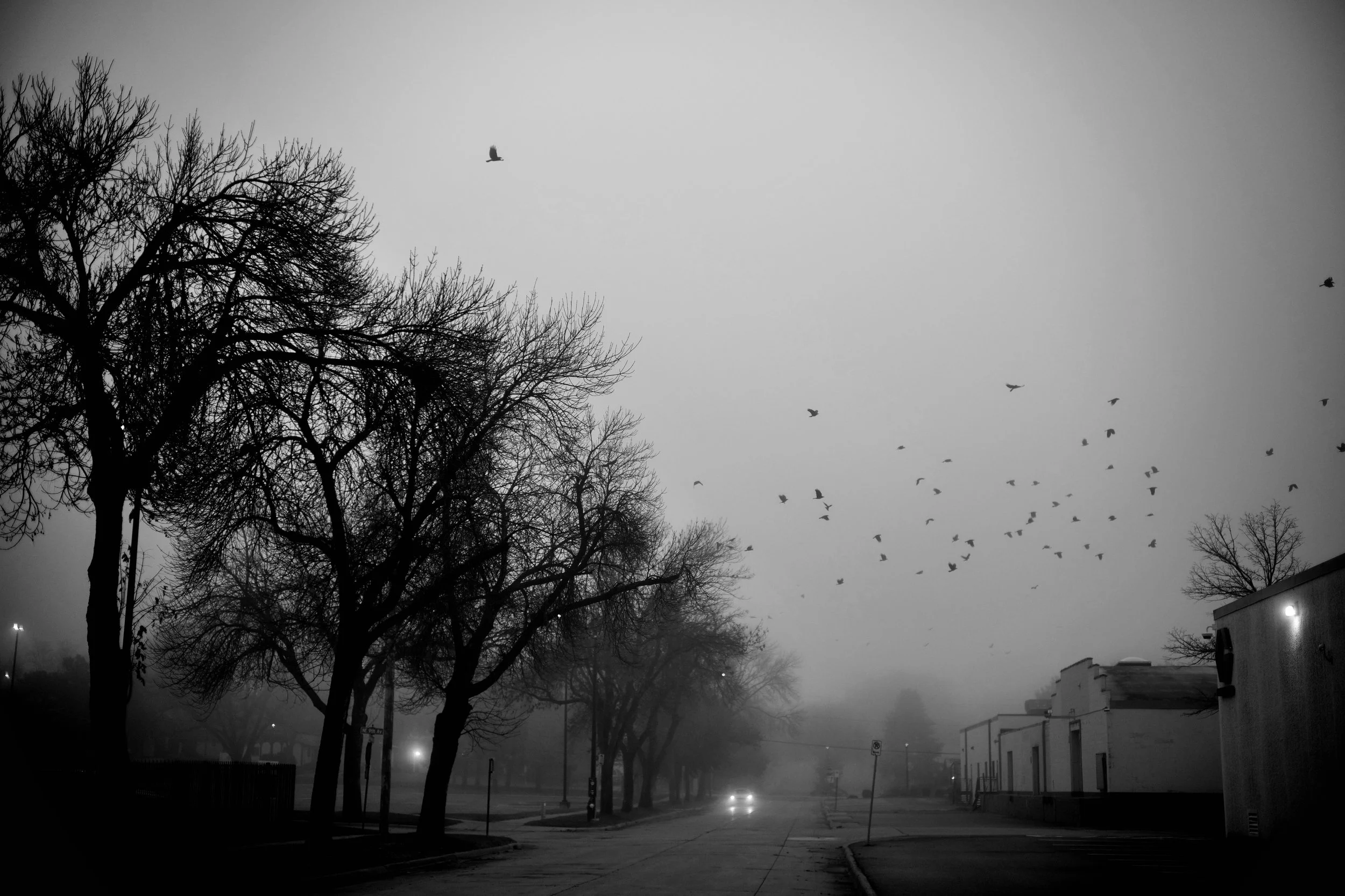 L1020365.jpeg