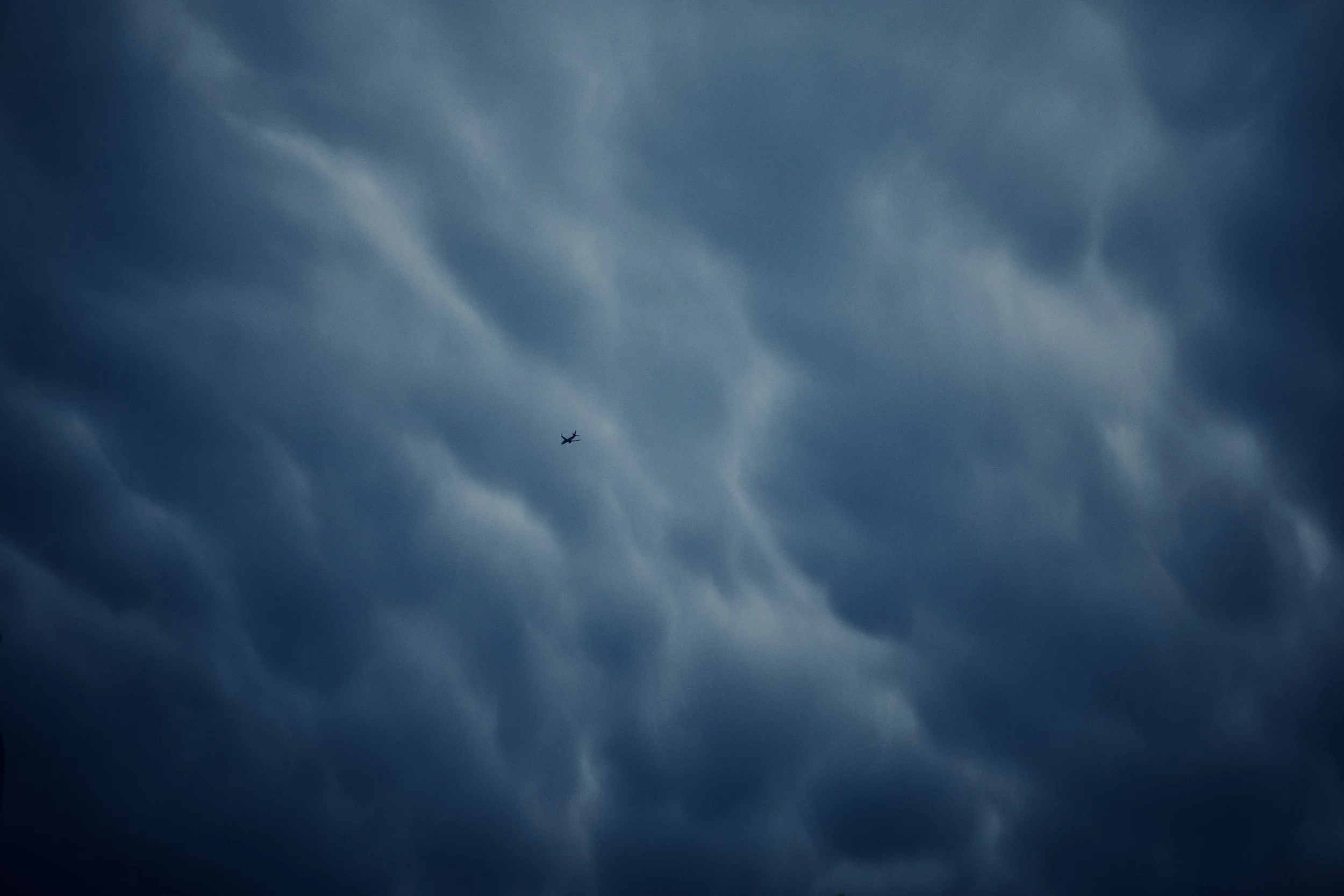 L1000389.jpeg