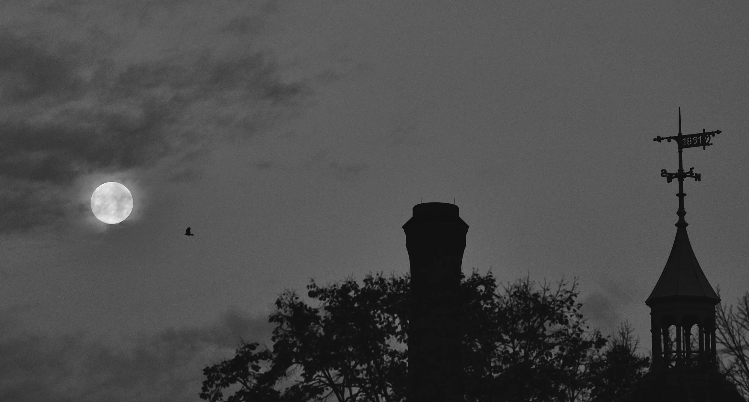 L1020679.jpeg