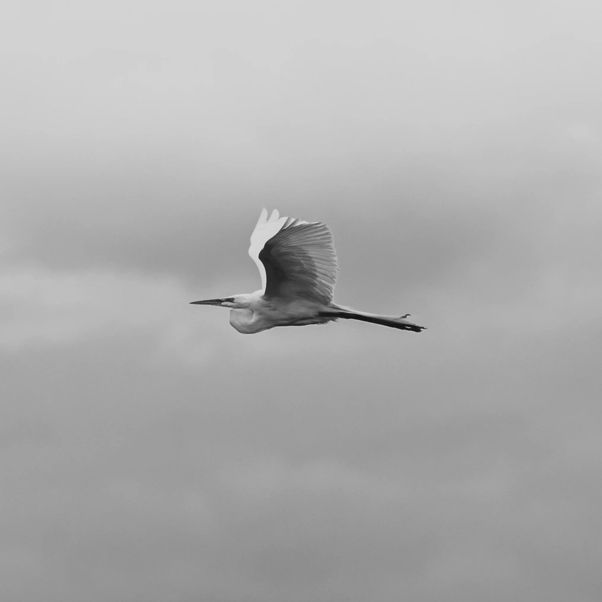 IMG_6324.jpg