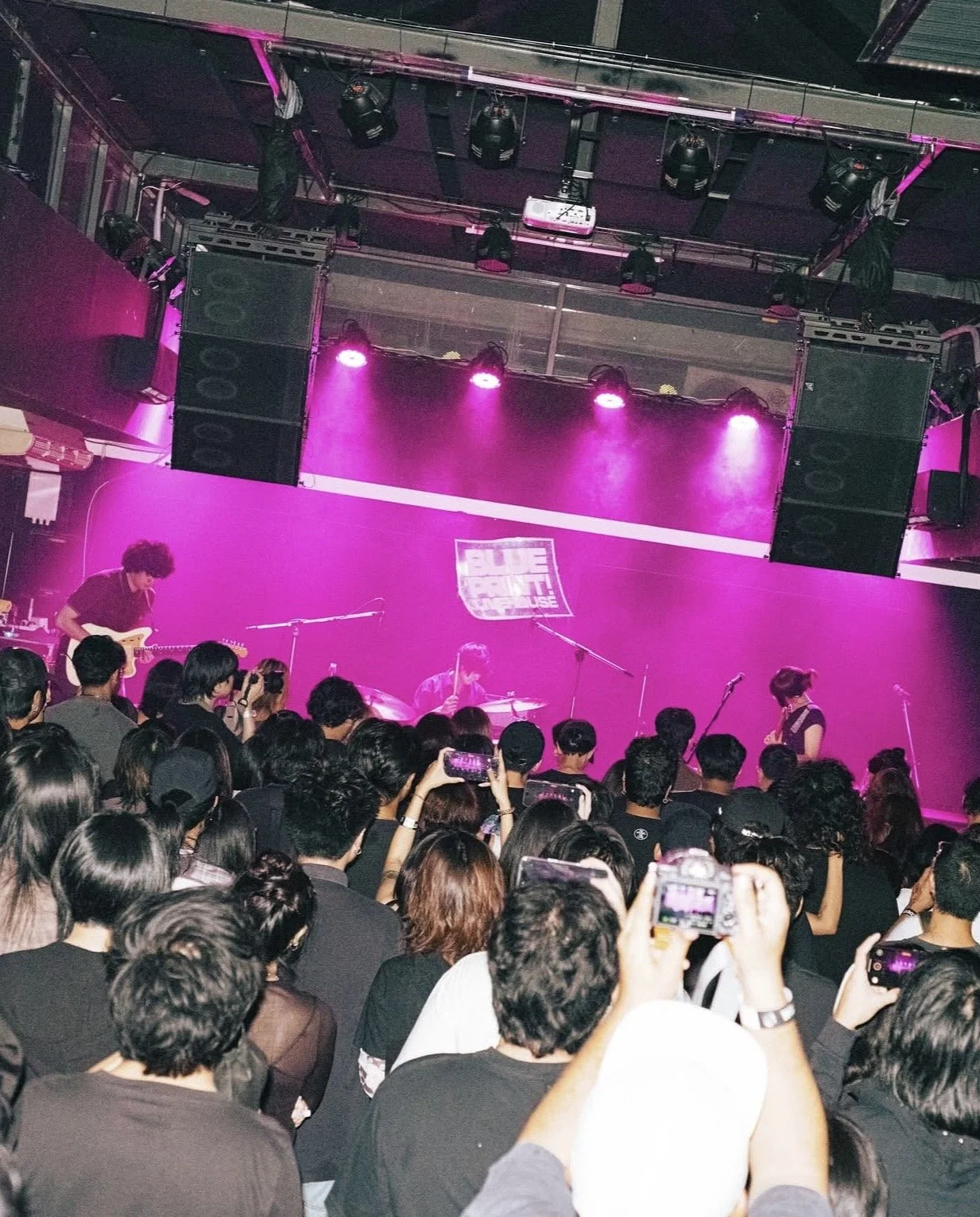IMG_7694.jpg