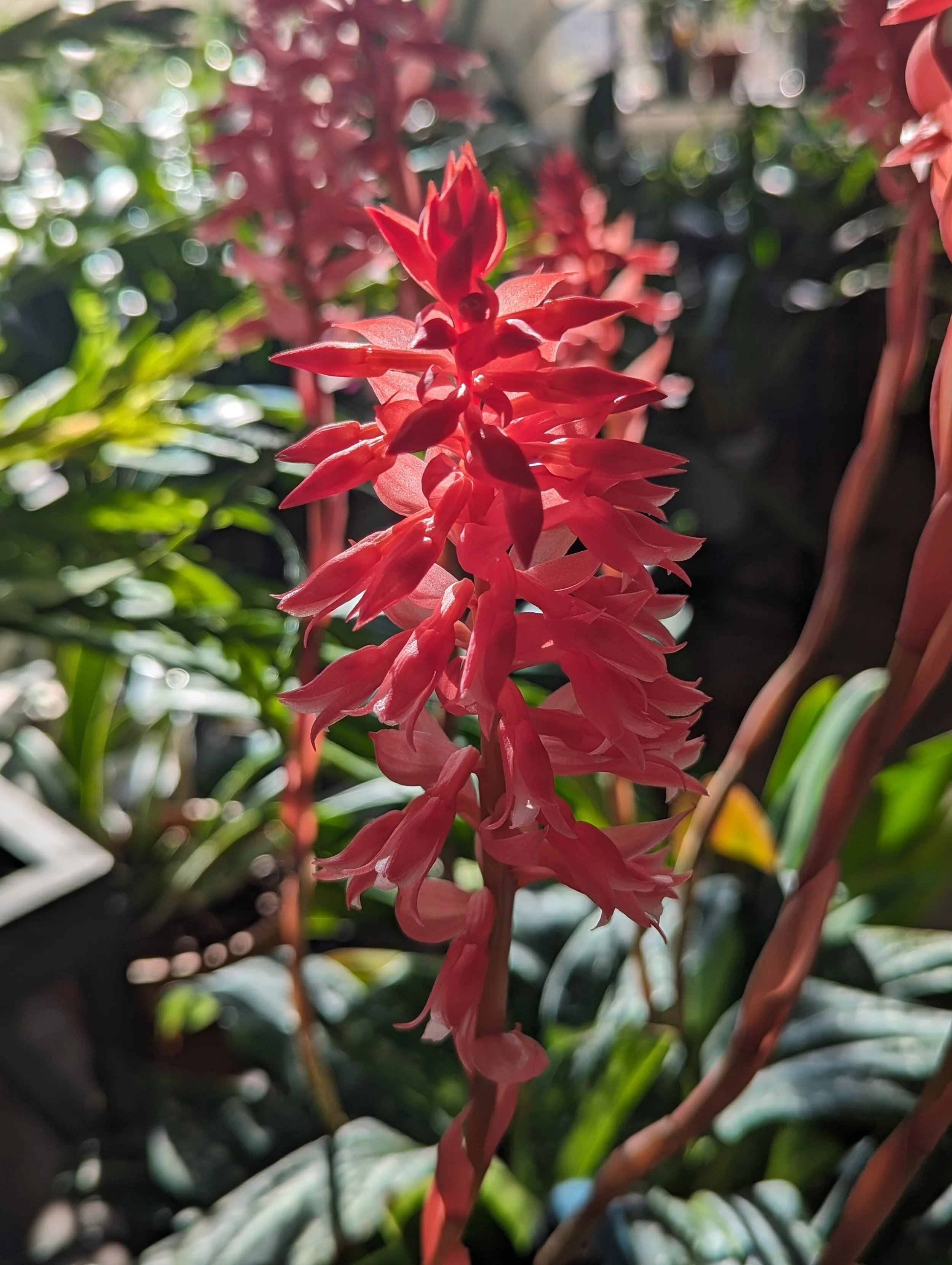 6D631B93-7AFE-4080-BA4C-0BE9F038B212.jpeg