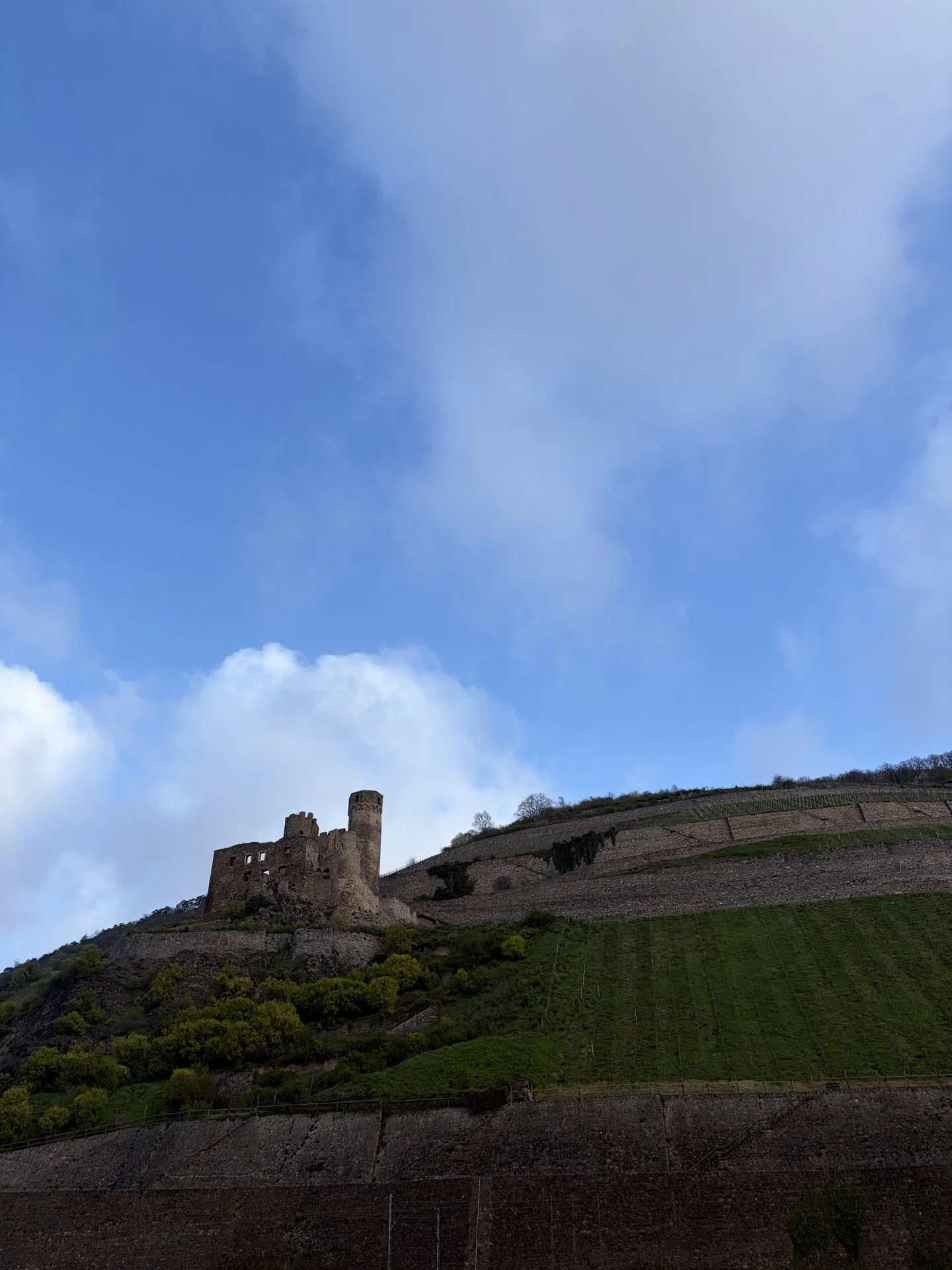 RhineCastle.jpg