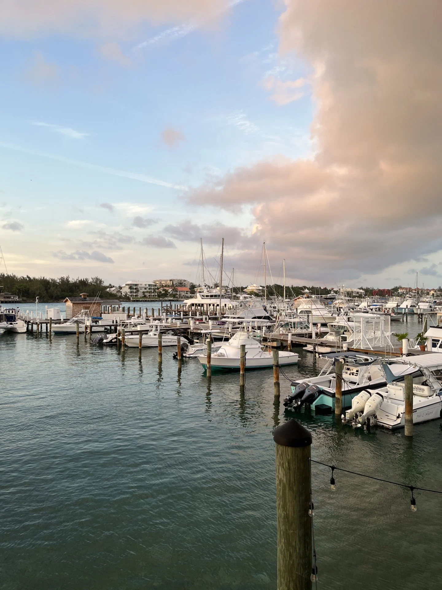 Harbor.jpg