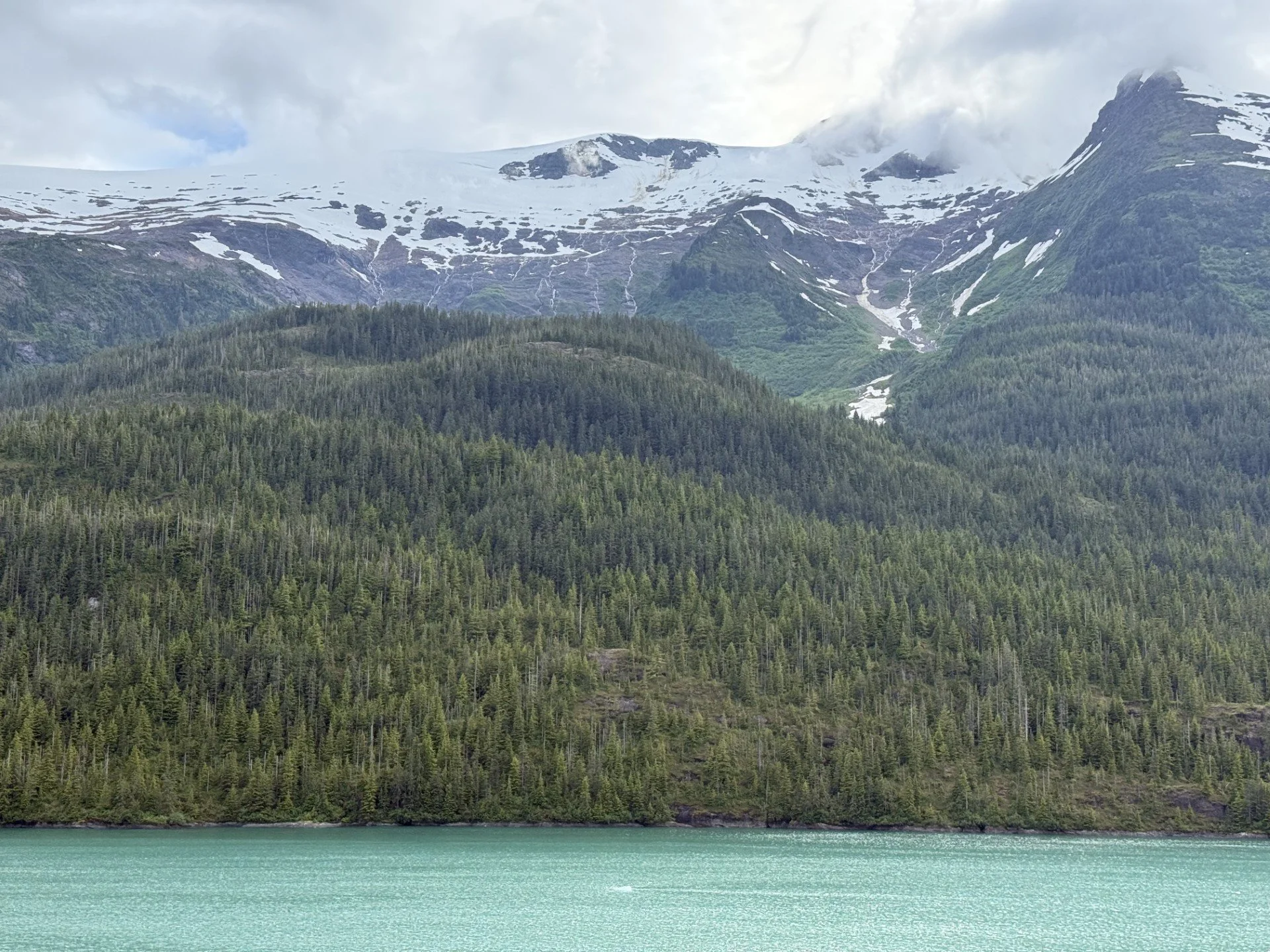 Endicott Arm.jpg