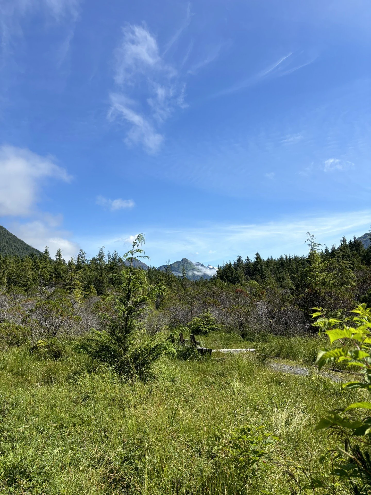 Sitka1.jpg