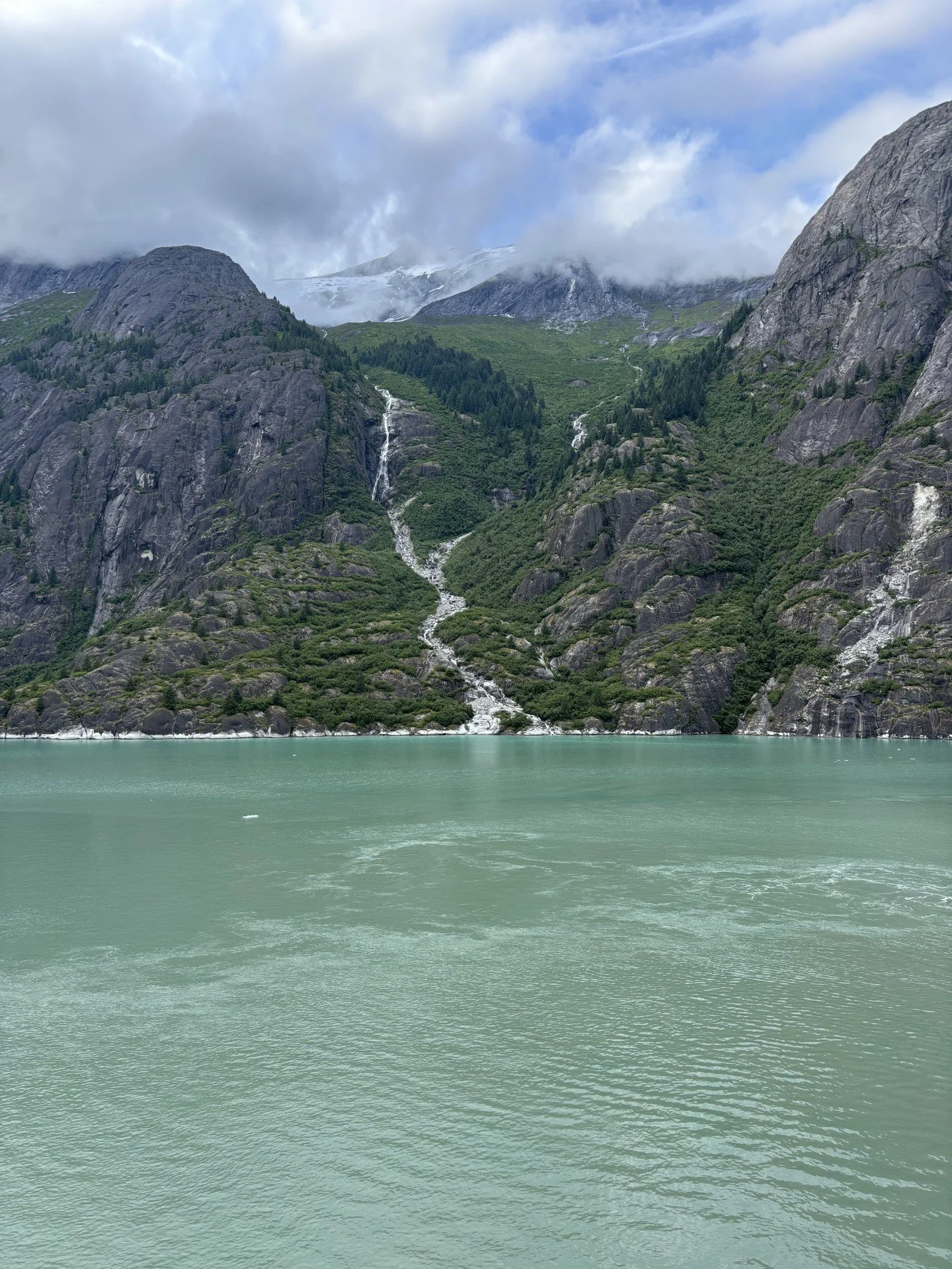 Endicott Arm 3.jpg