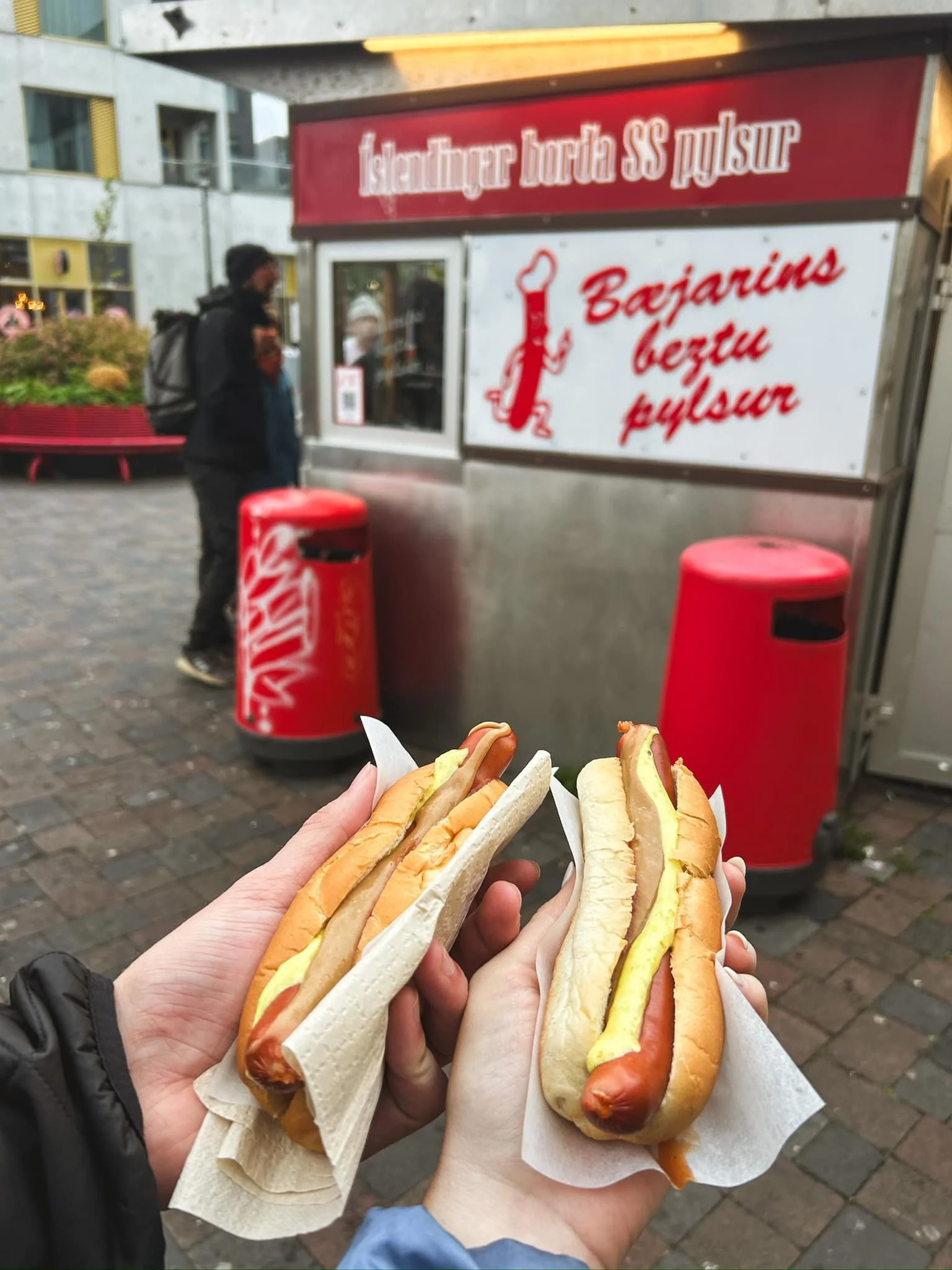 Icelandic Hotdog.jpg