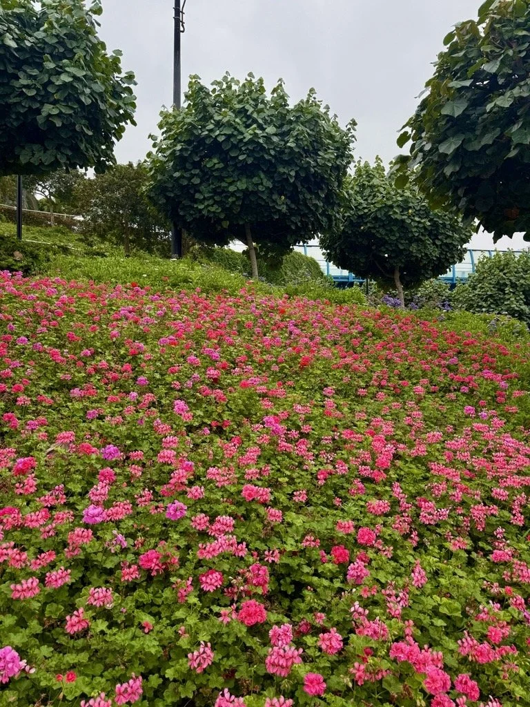 Image (2).jpg