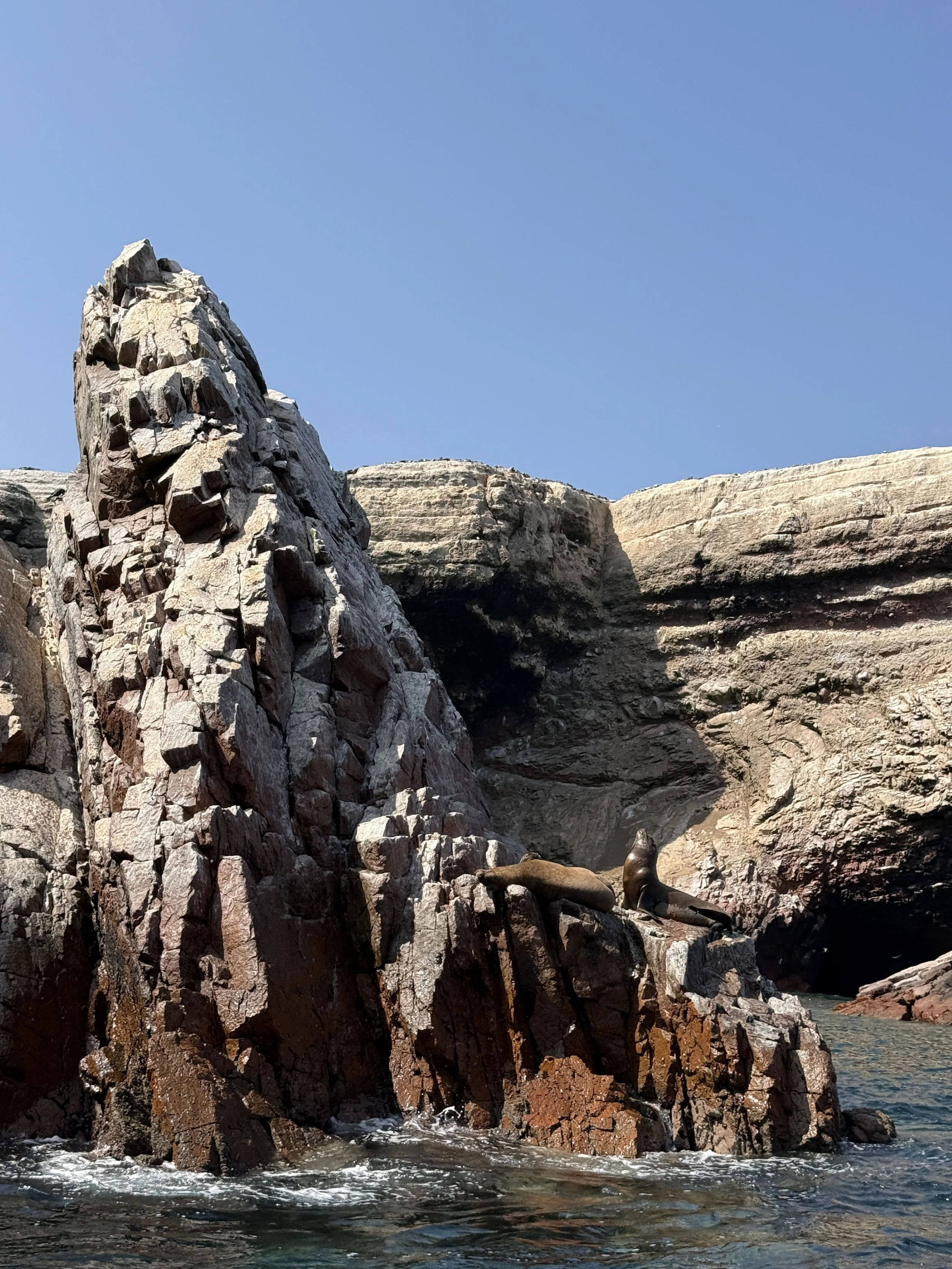 Ballestas Islands 2.JPG
