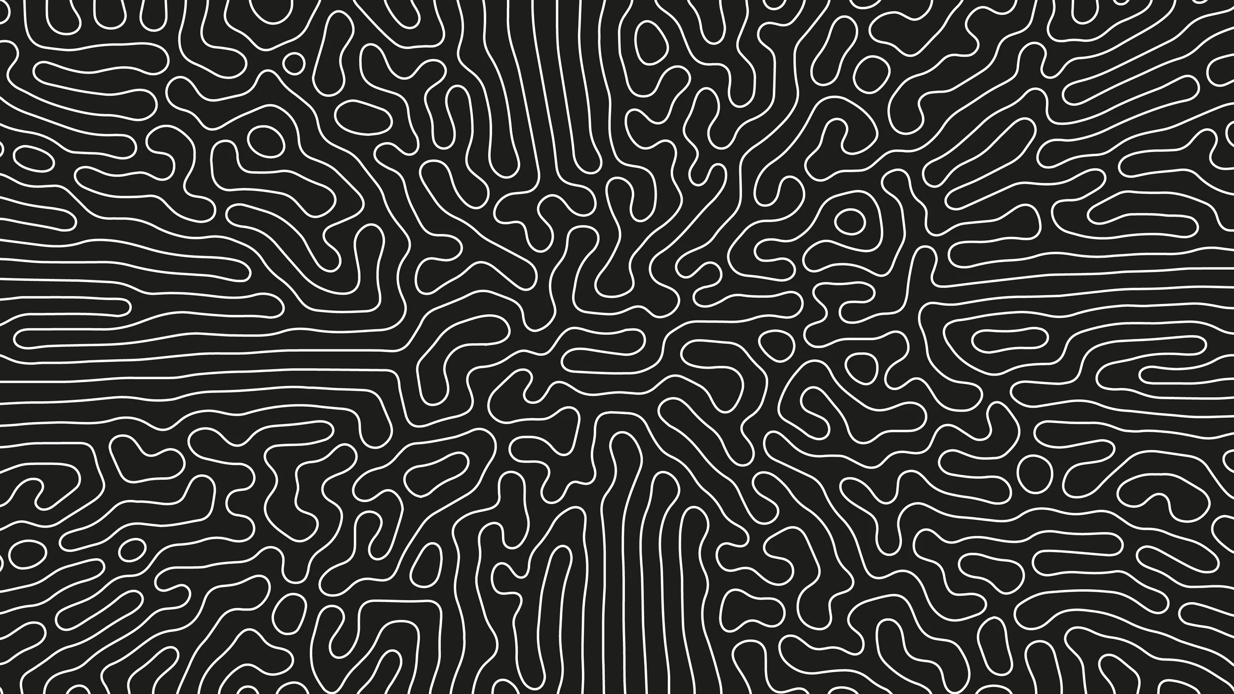 A black background with white, irregular, wavy lines creating an abstract, maze-like pattern.