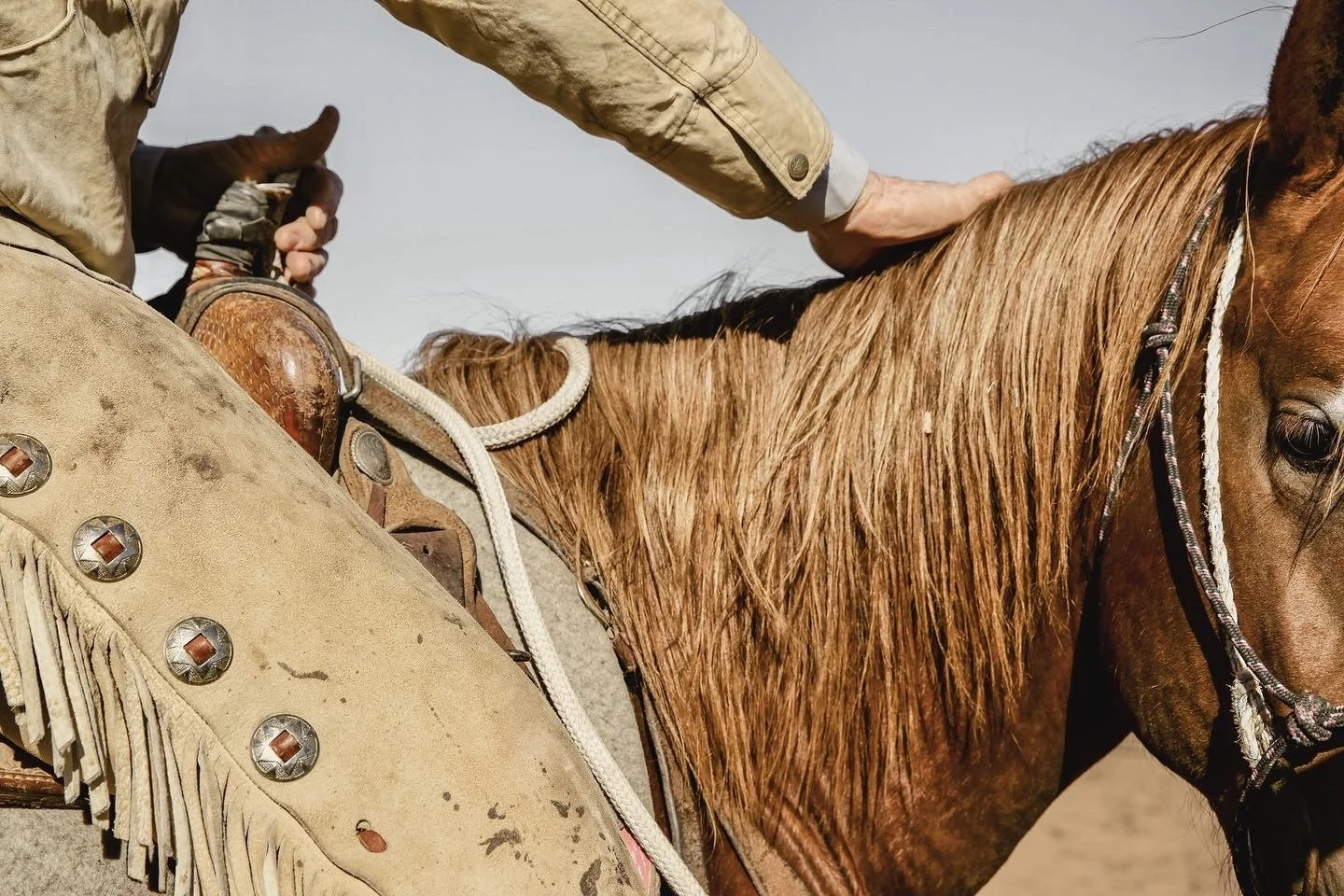 Buster McLaury starting a colt 