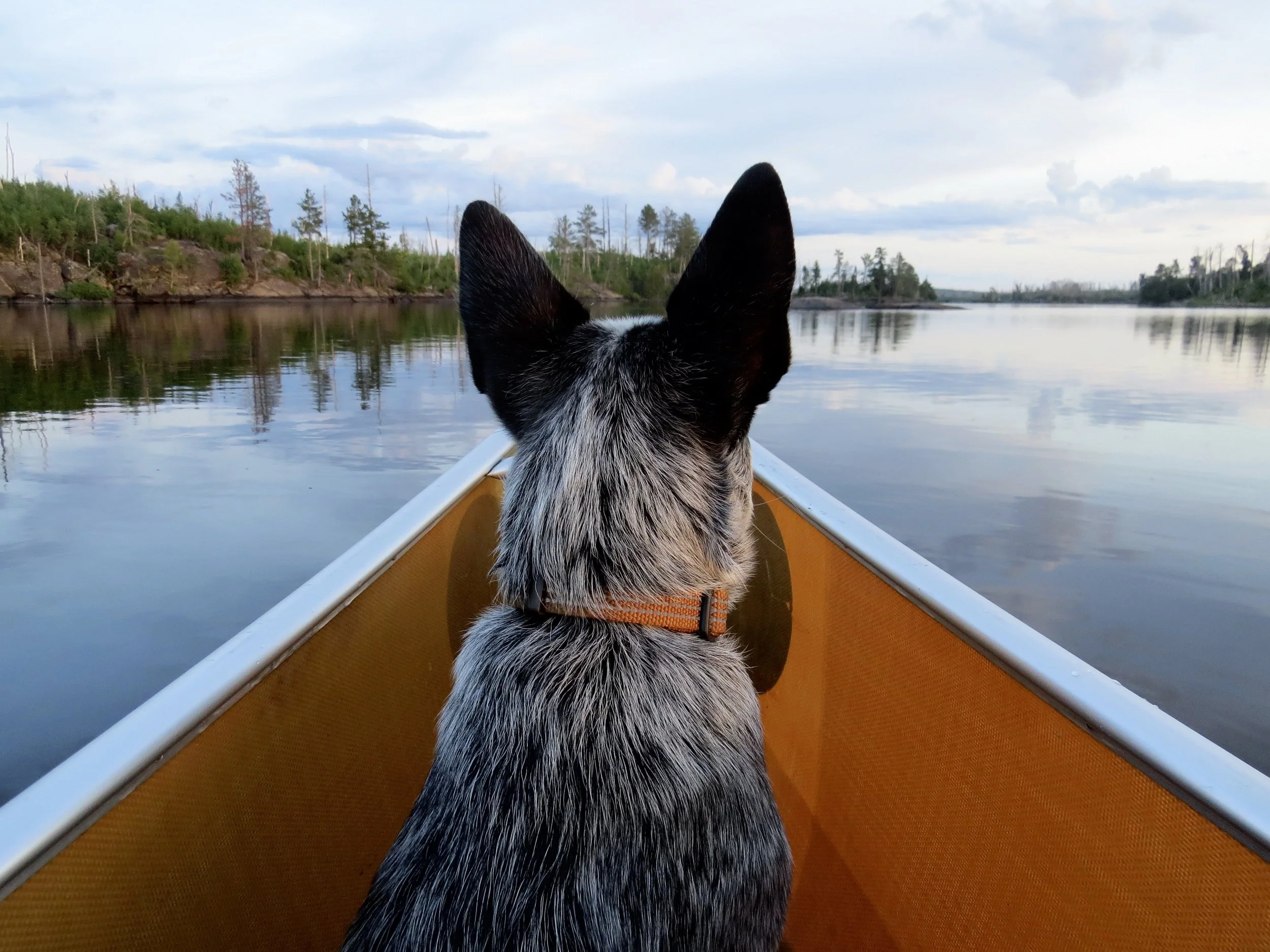 Boundary Waters Canoe Area in Minnesota