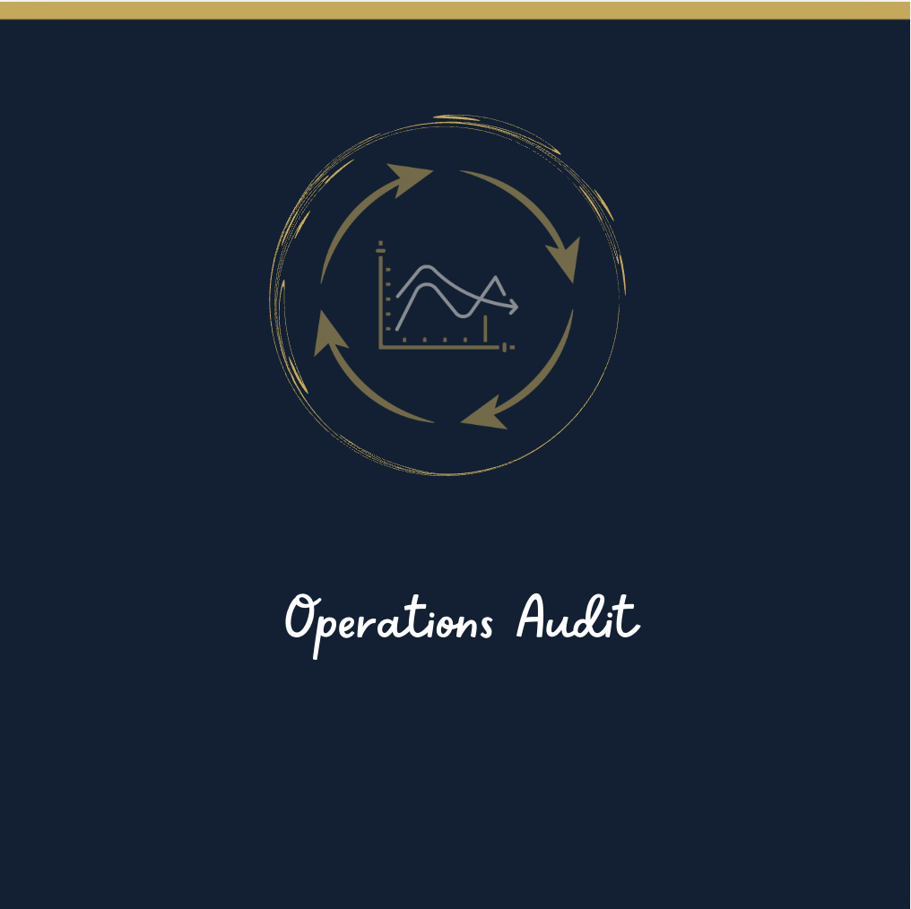 Operations Audit