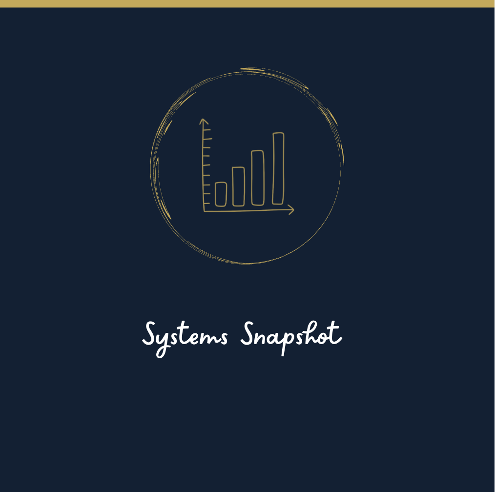 Systems Snapshot