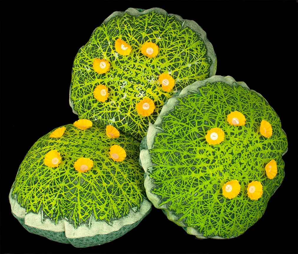 Cactus Cushion