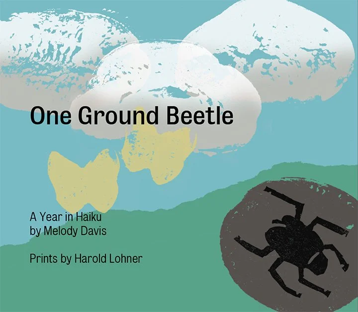 One Ground Beetle