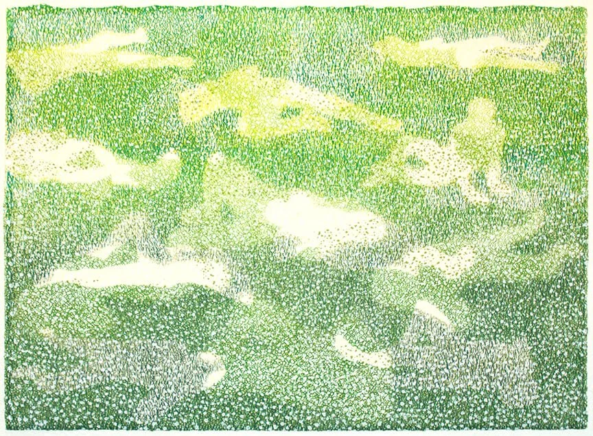 Summer Grass