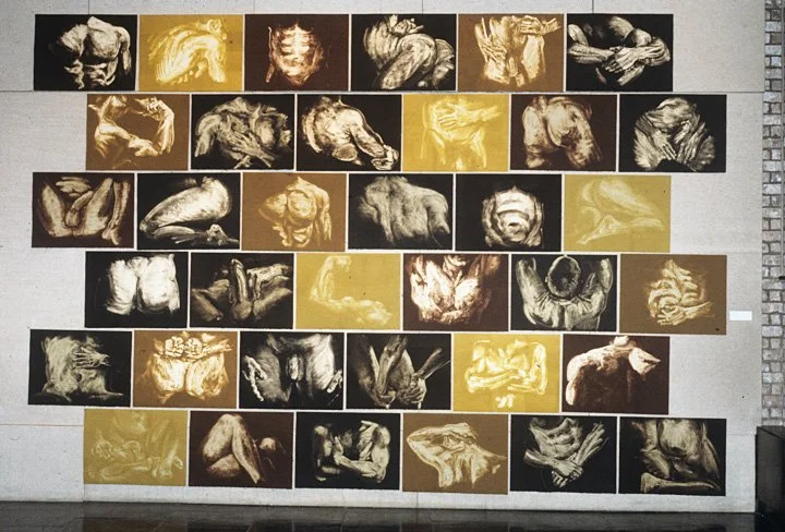 Installation of untitled figure studies, 1993, 36 monoprints, 30 x 22 each, Hartwick College