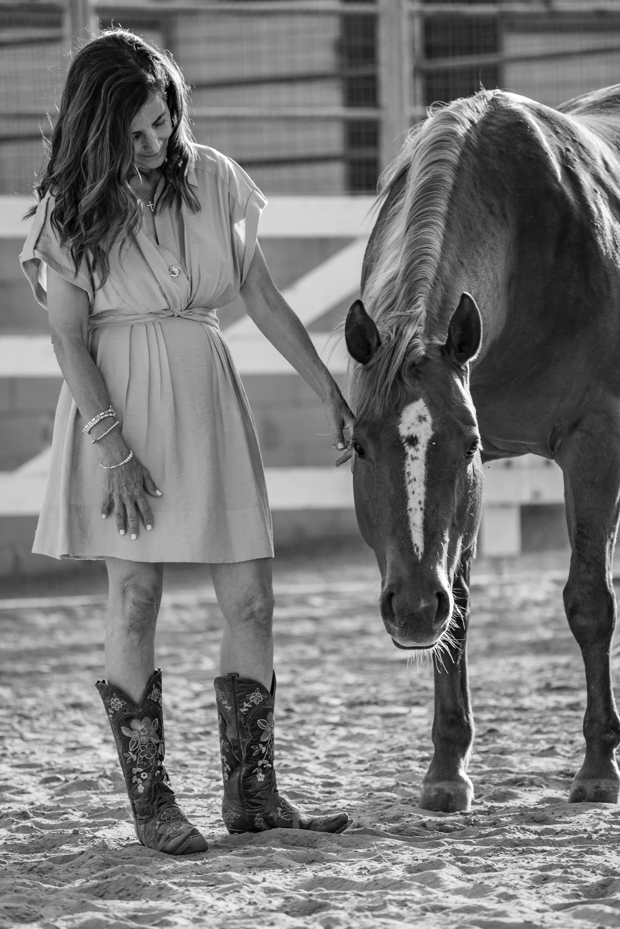 Root’d In Hope, Nonprofit, Equine Therapy, Mental Health, Emotional Wellbeing, Stacy Root, Horse Therapy