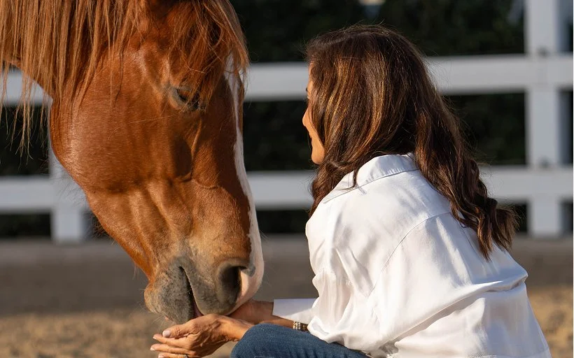 Root’d In Hope, Nonprofit, Horse, Equine Therapy, Mental Health, Emotional Wellbeing, Stacy Root, San Diego, California